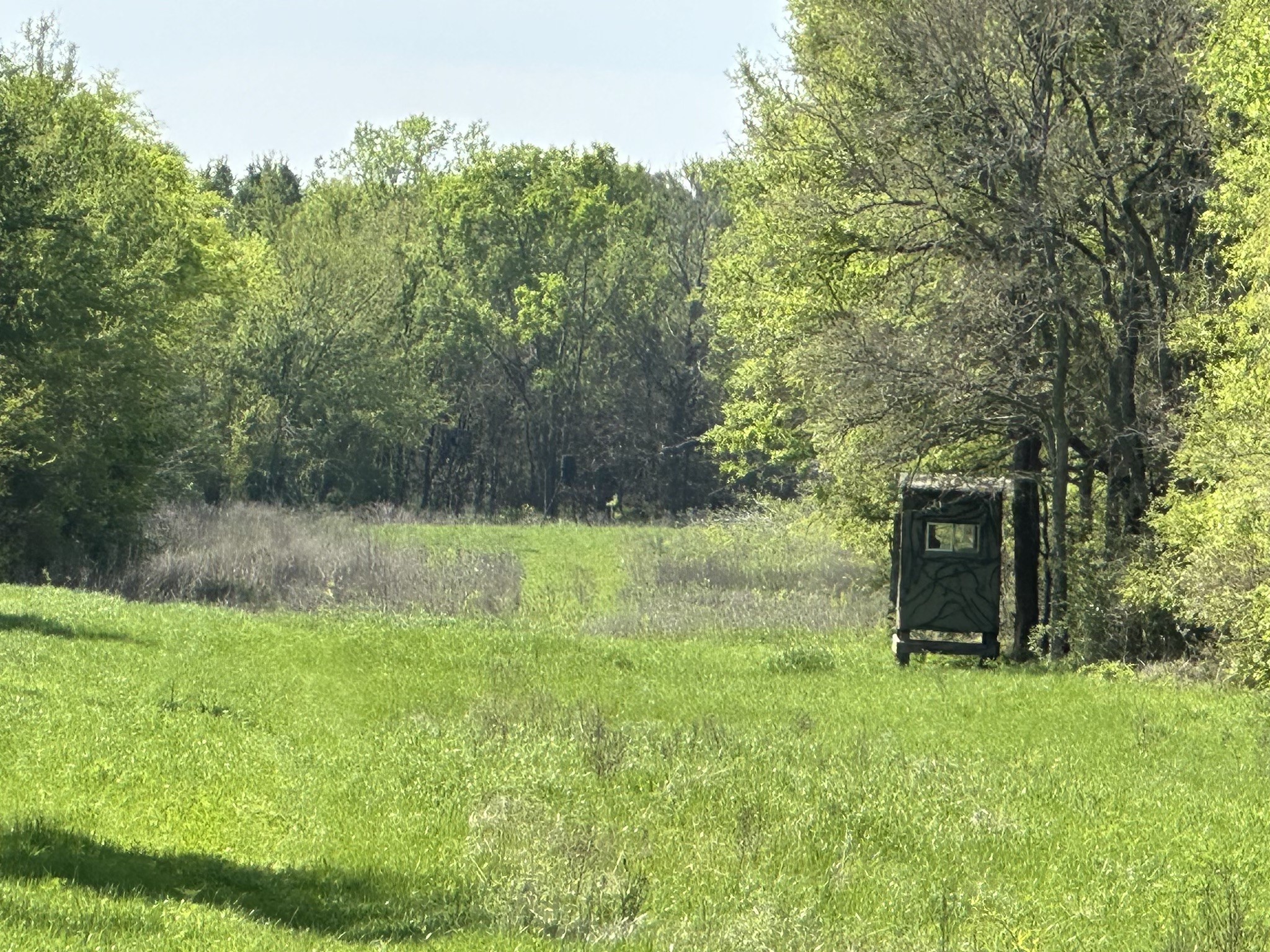 TBD 149.71 Acres SE CR 1240