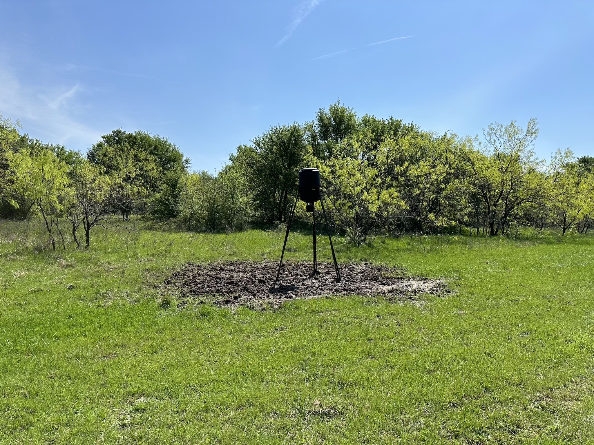 TBD 149.71 Acres SE CR 1240