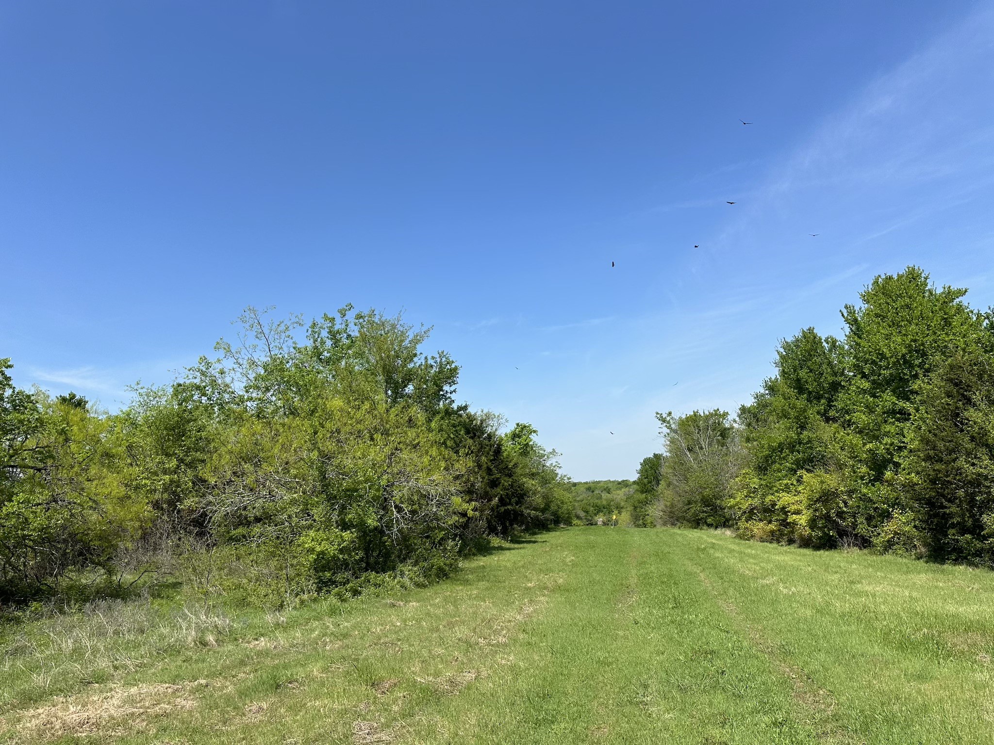 TBD 149.71 Acres SE CR 1240