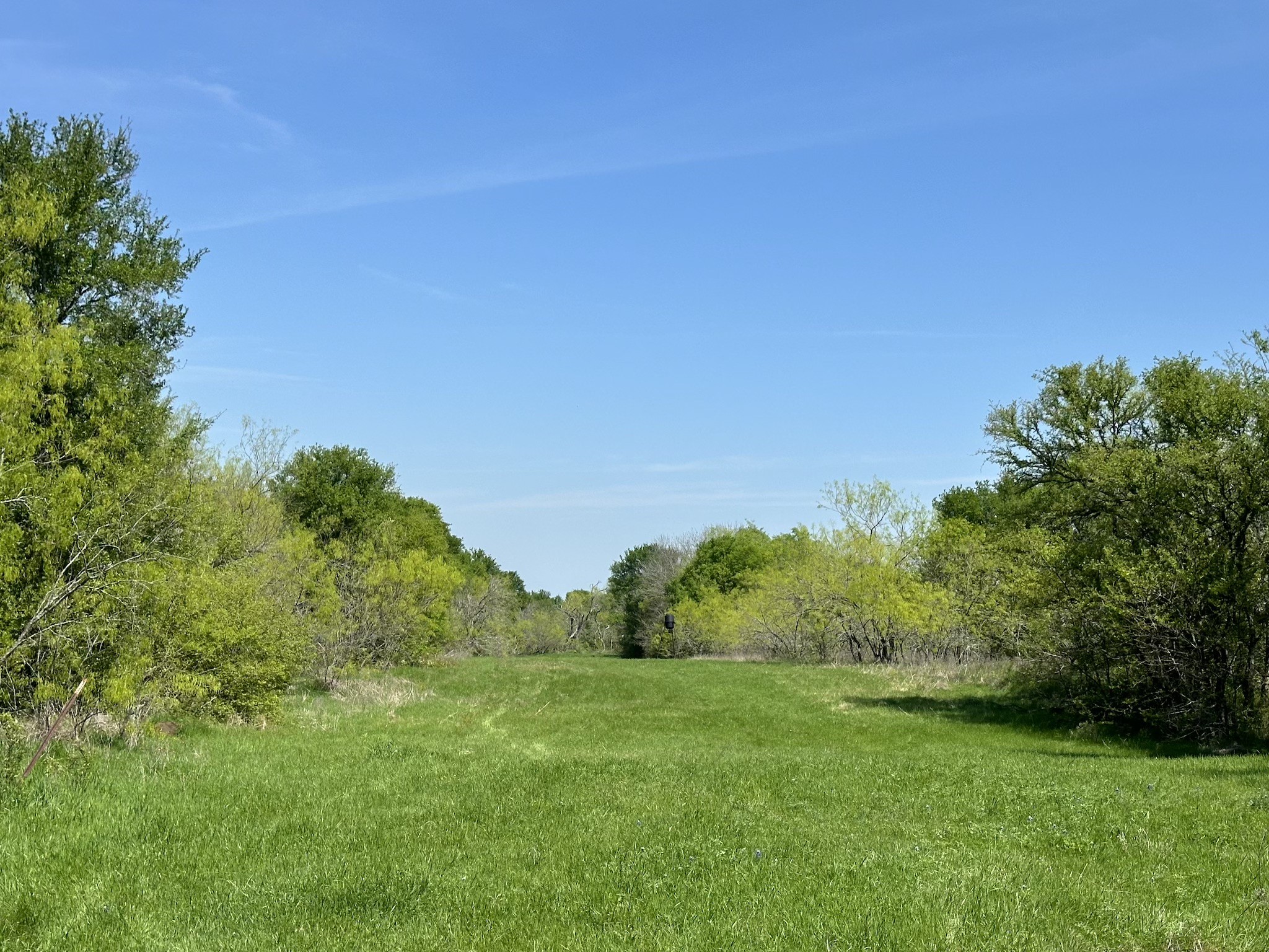 TBD 149.71 Acres SE CR 1240