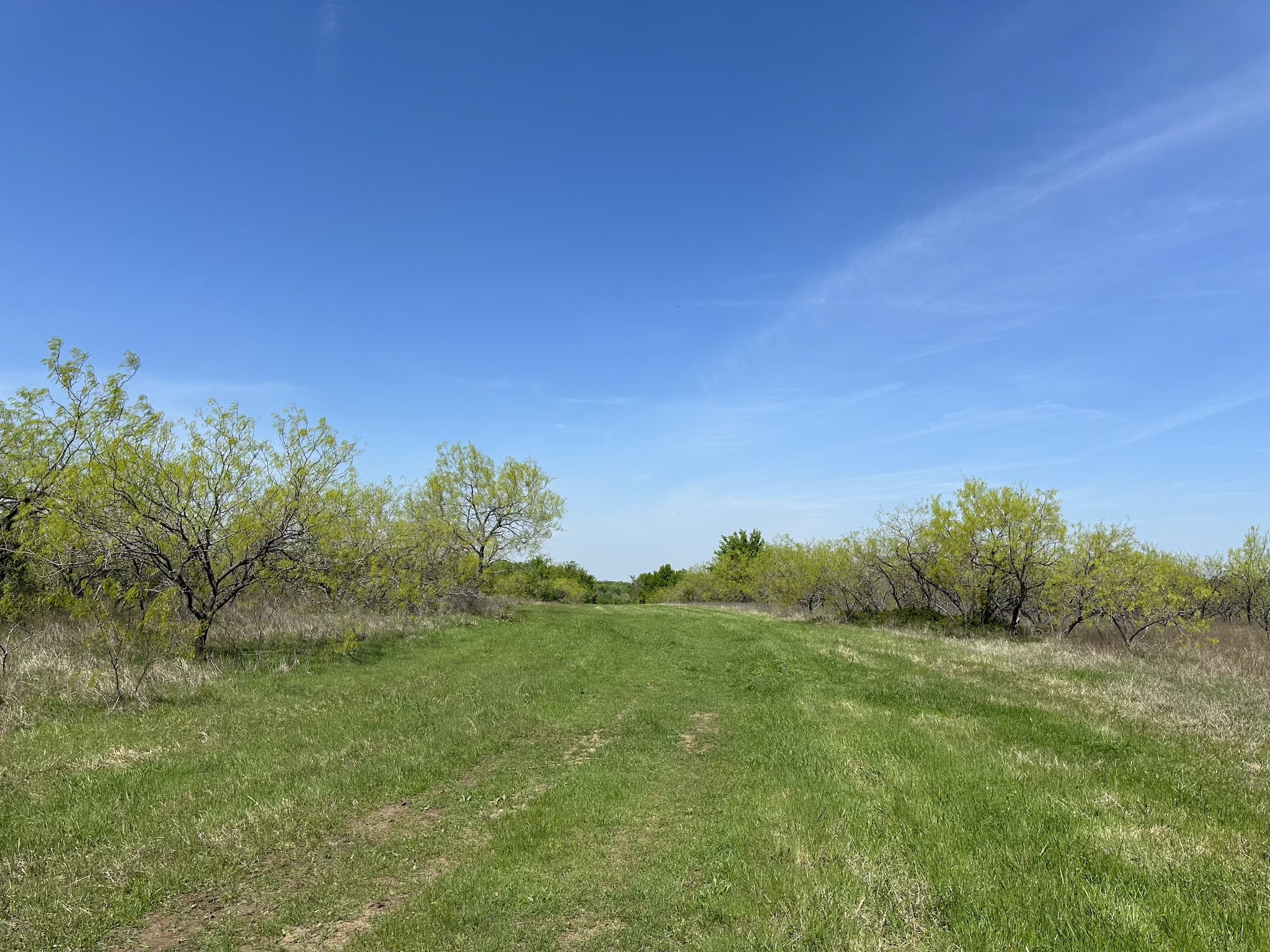 TBD 149.71 Acres SE CR 1240