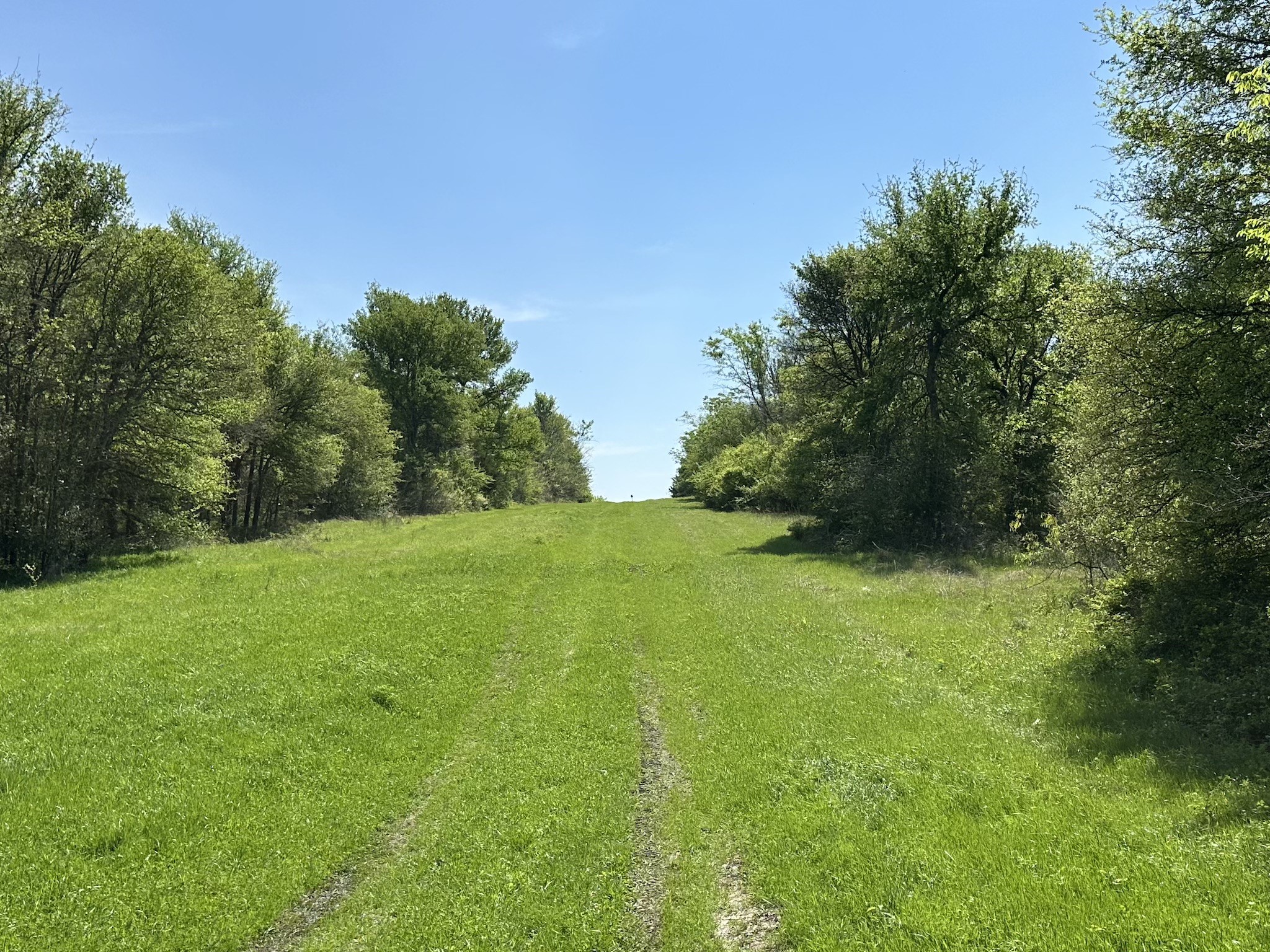 TBD 149.71 Acres SE CR 1240