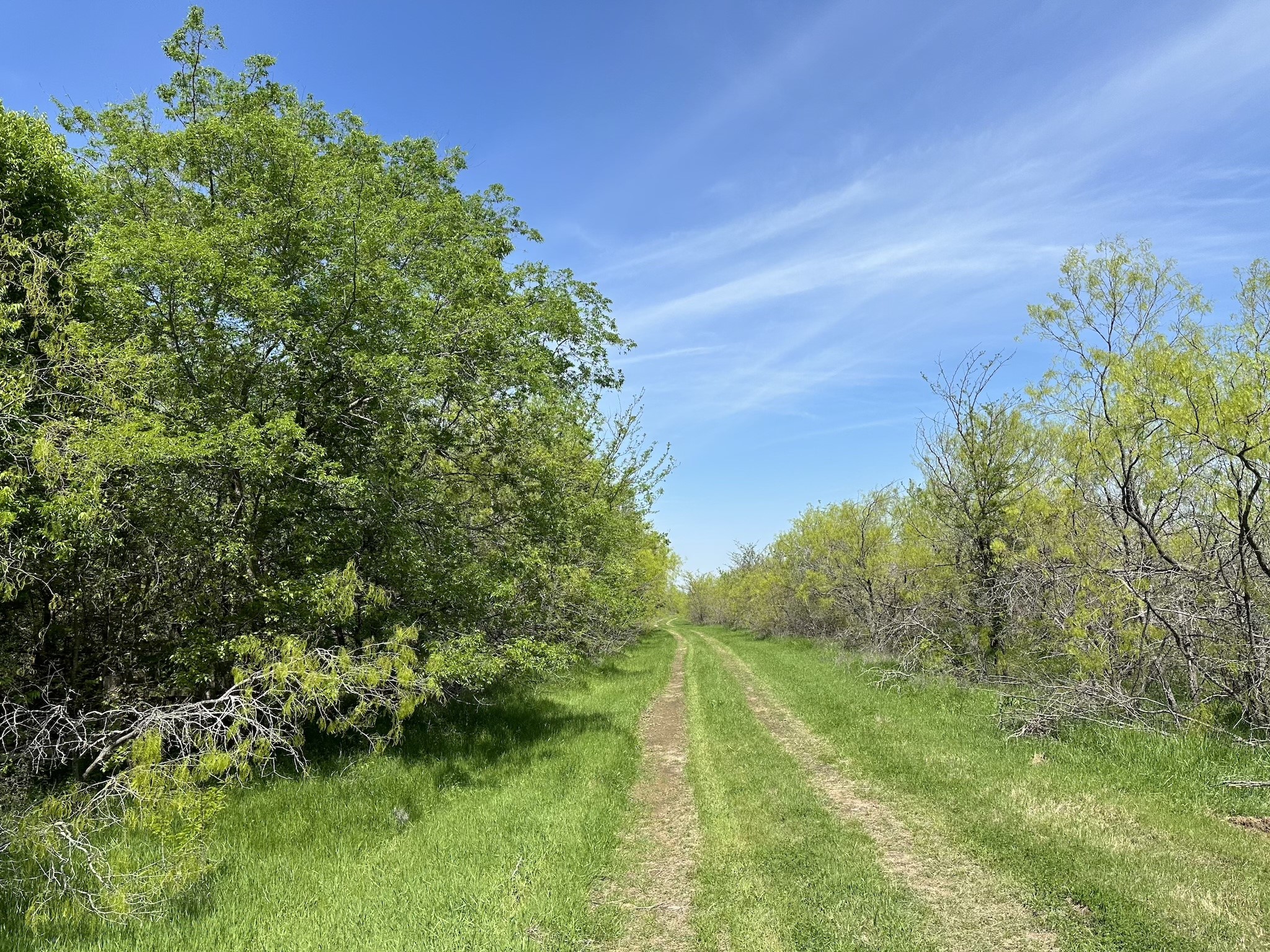 TBD 149.71 Acres SE CR 1240