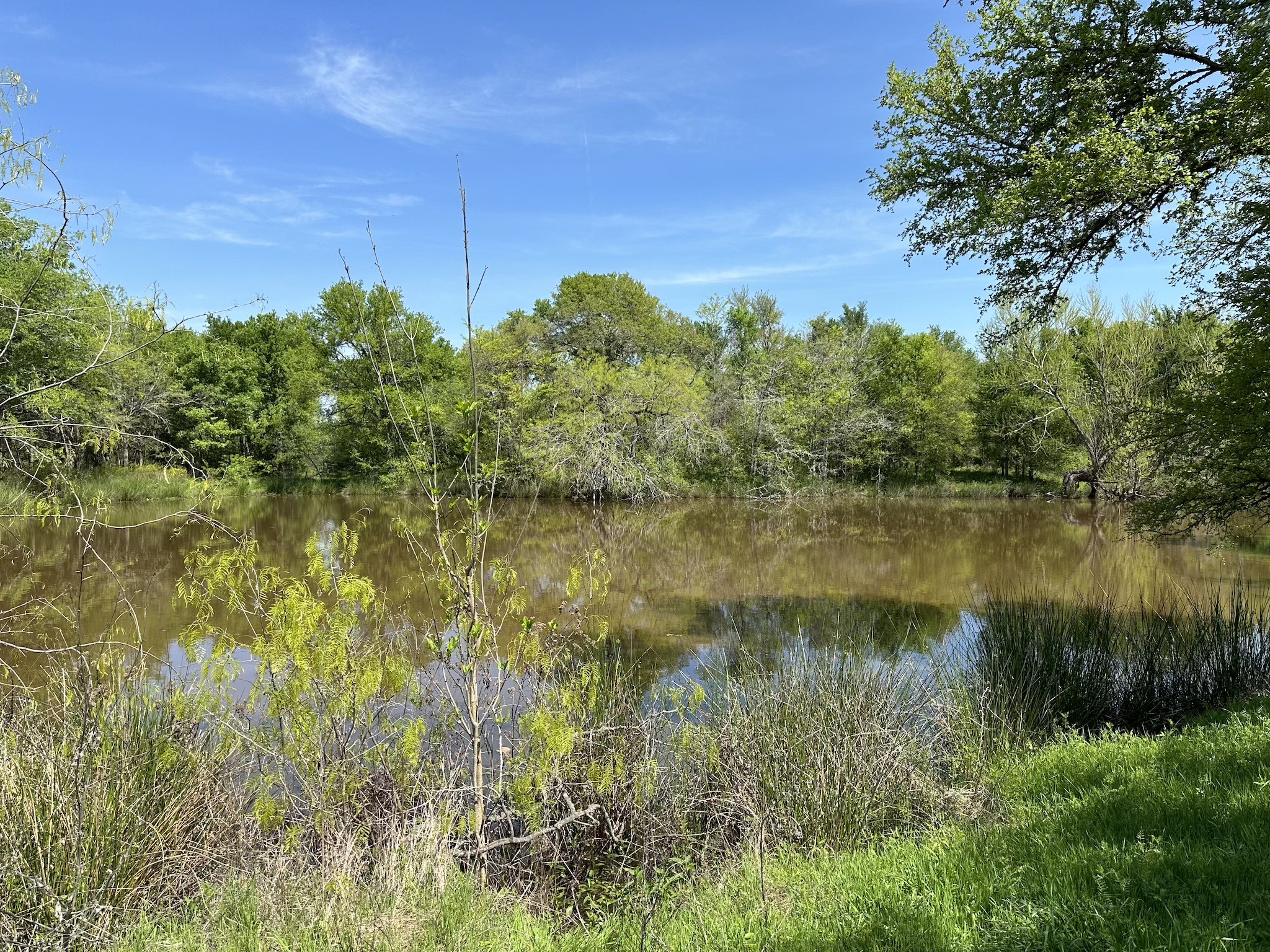 TBD 149.71 Acres SE CR 1240