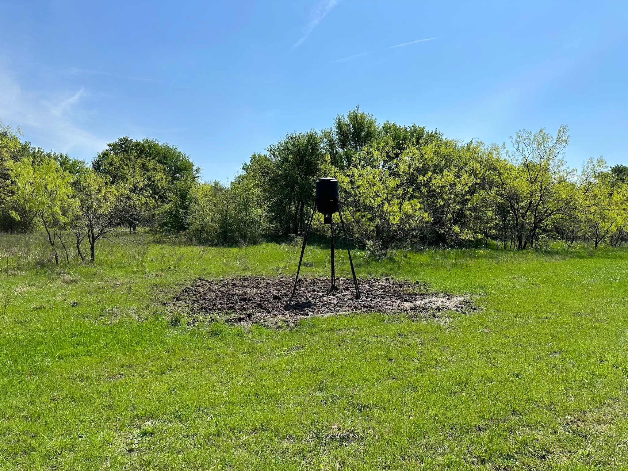 TBD 149.71 Acres SE CR 1240