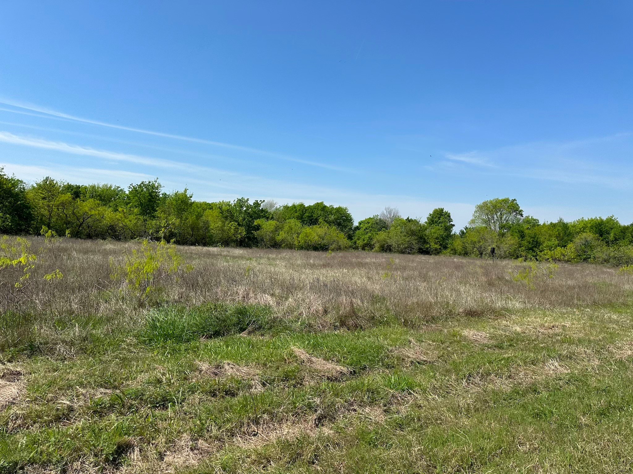 TBD 149.71 Acres SE CR 1240