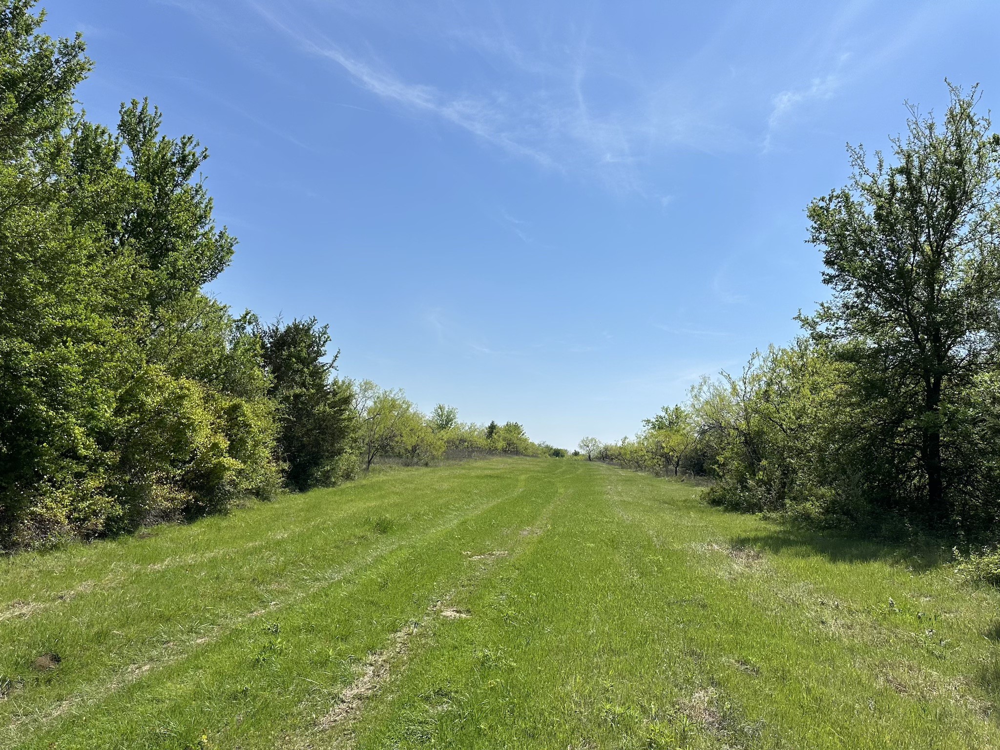 TBD 149.71 Acres SE CR 1240