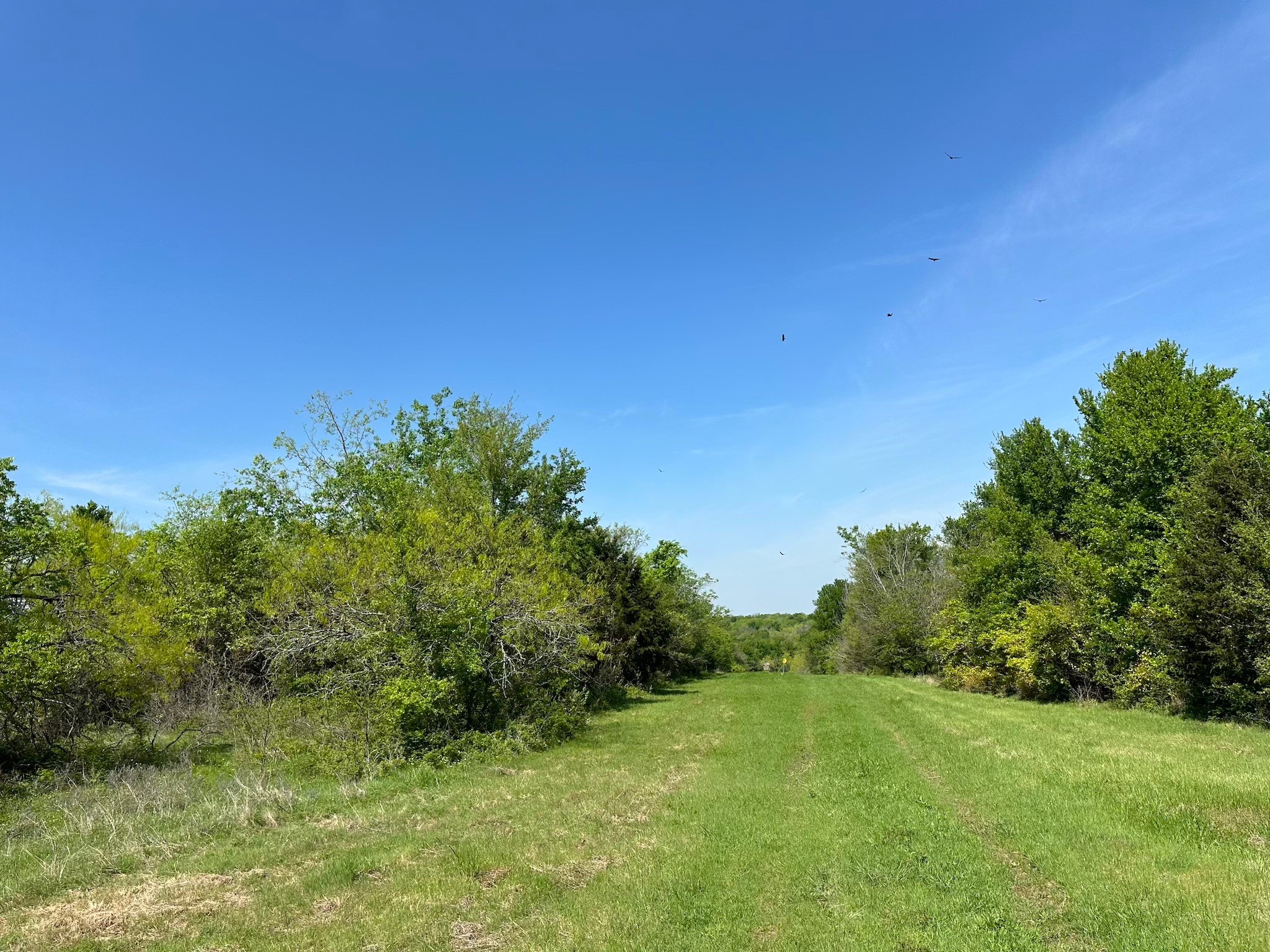 TBD 149.71 Acres SE CR 1240