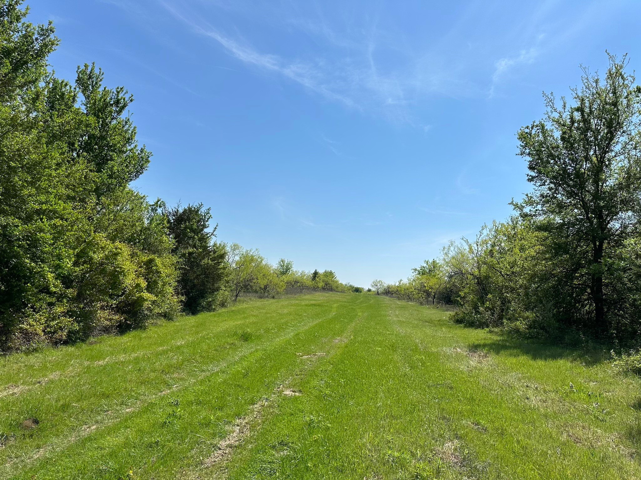 TBD 149.71 Acres SE CR 1240