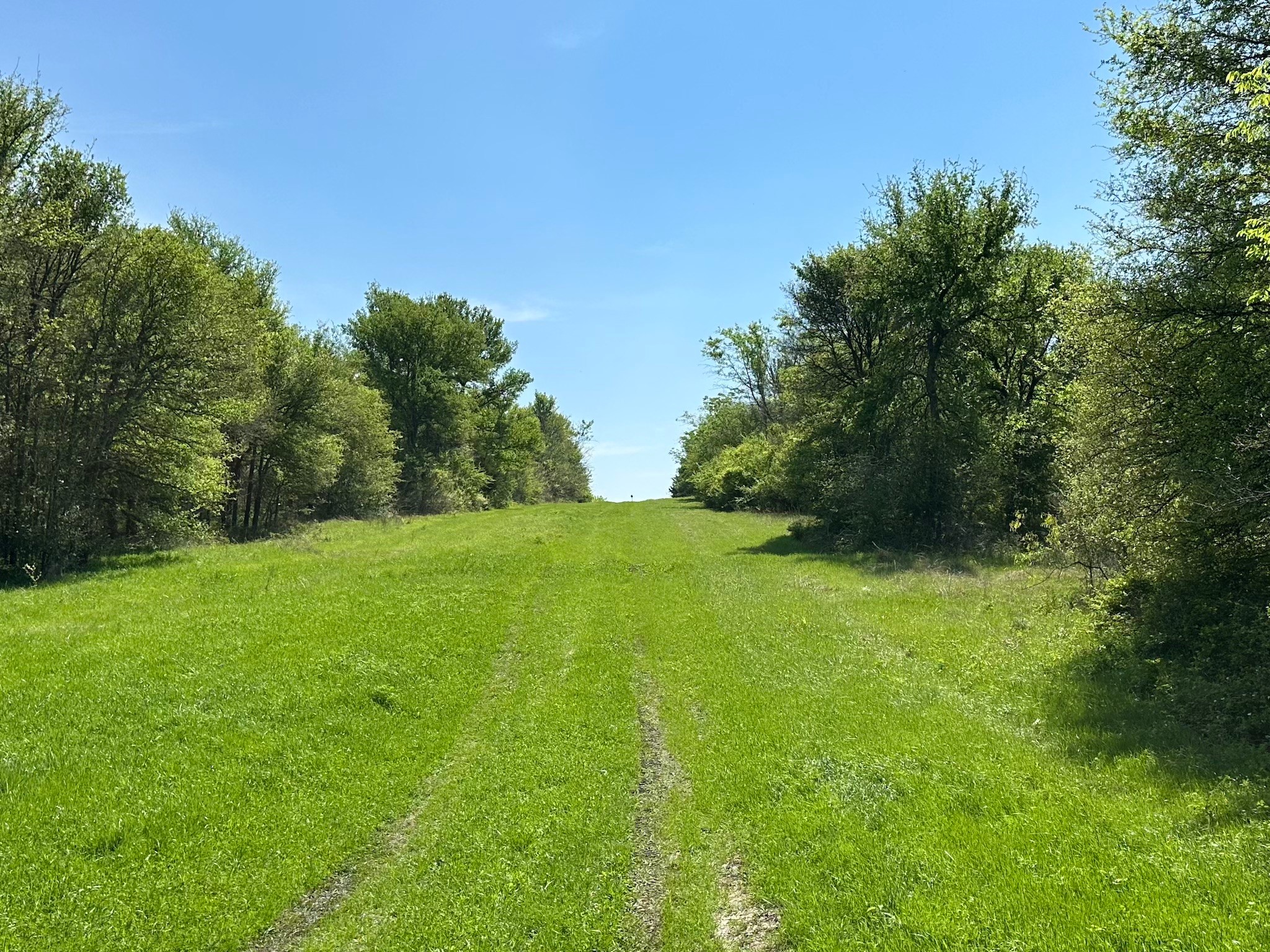 TBD 149.71 Acres SE CR 1240