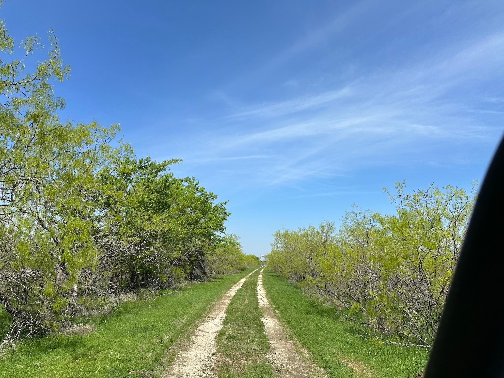 TBD 149.71 Acres SE CR 1240