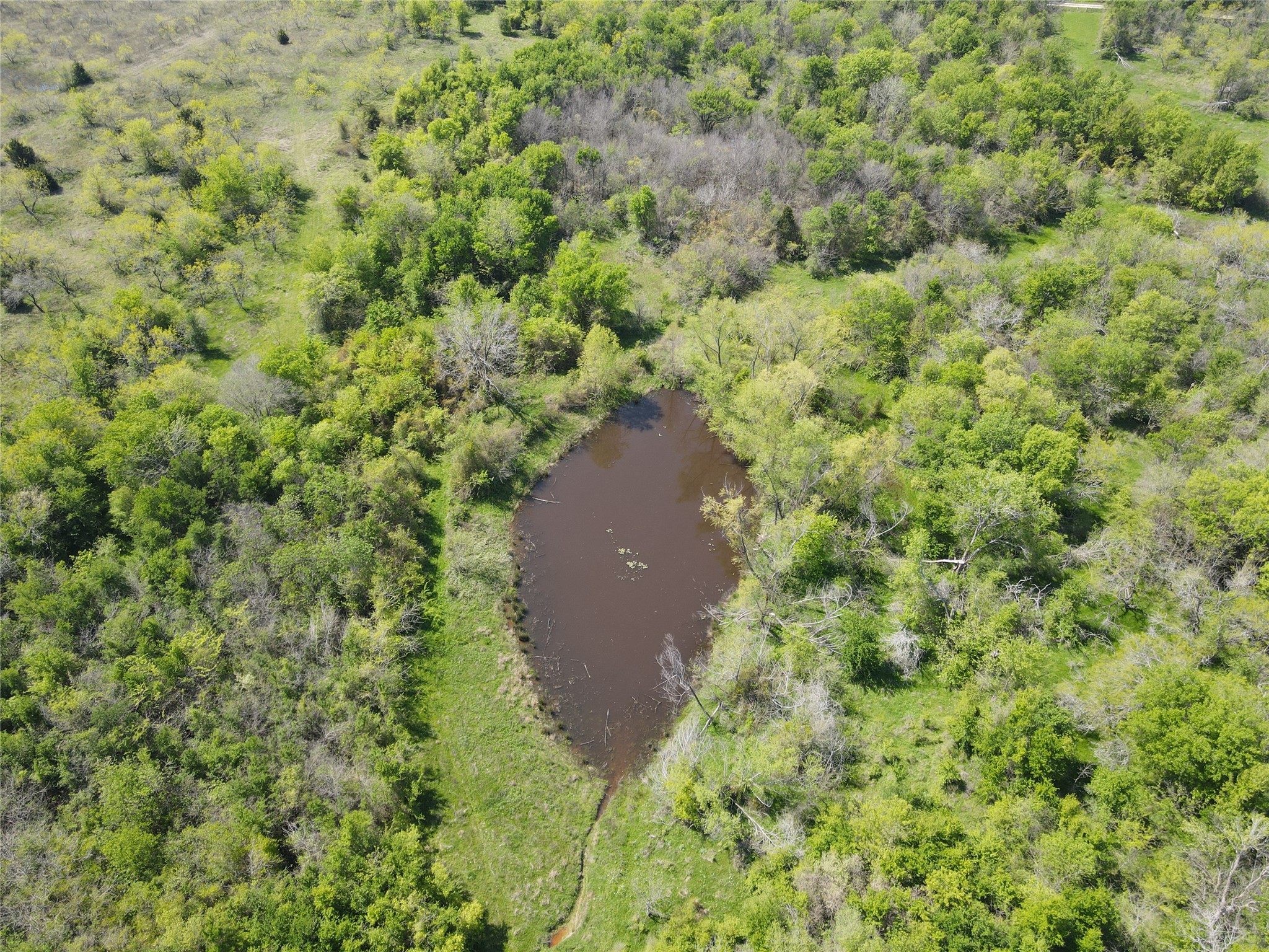 TBD 149.71 Acres SE CR 1240