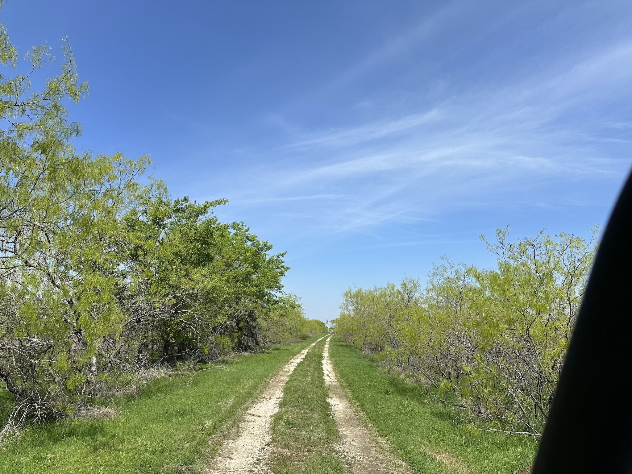 TBD 149.71 Acres SE CR 1240