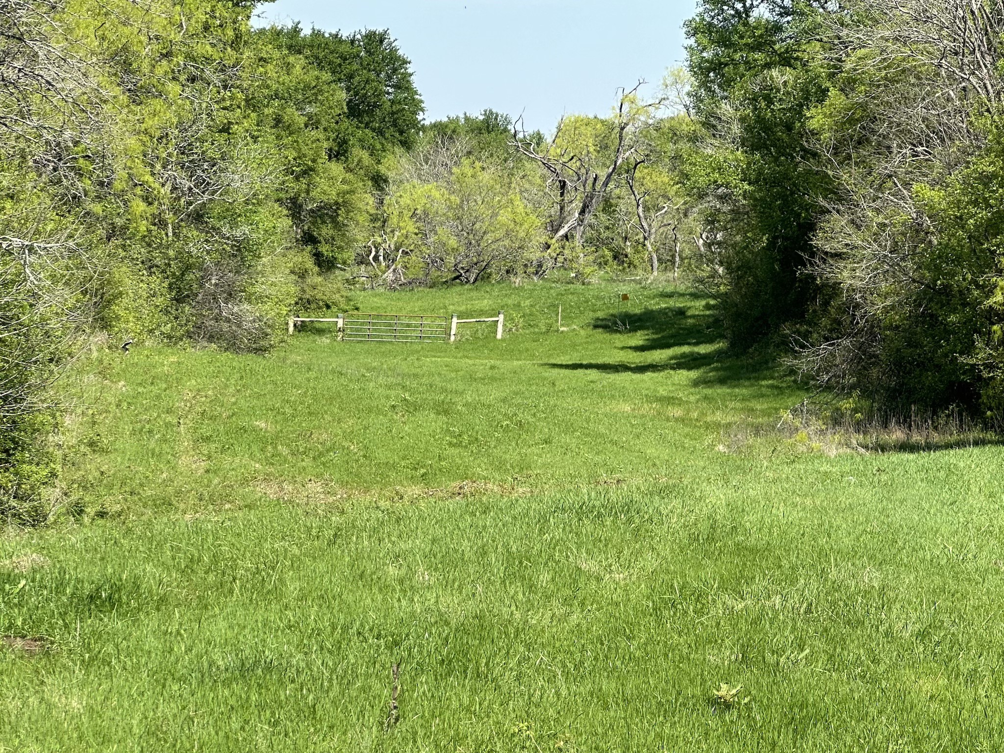 TBD 149.71 Acres SE CR 1240