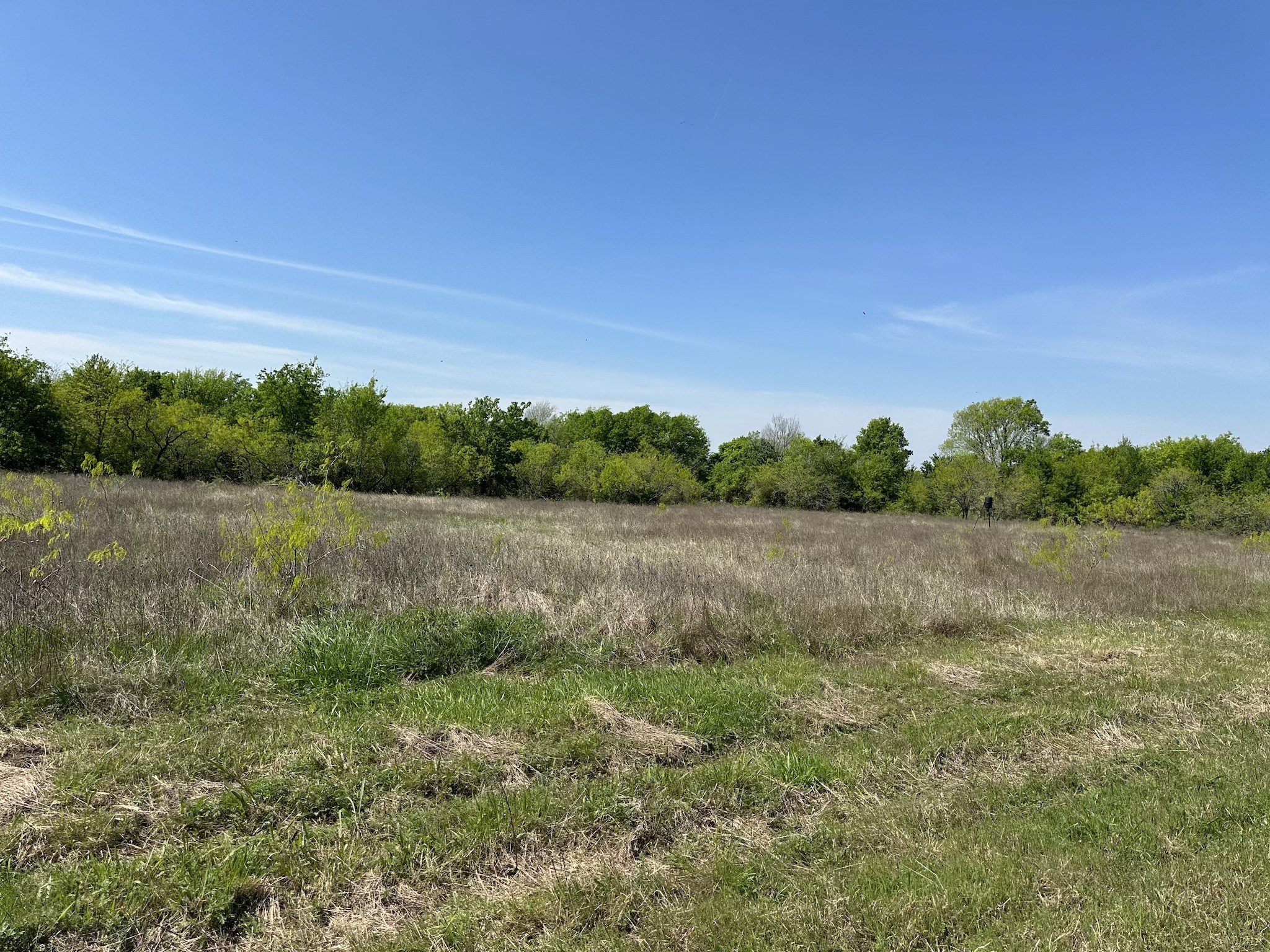 TBD 149.71 Acres SE CR 1240