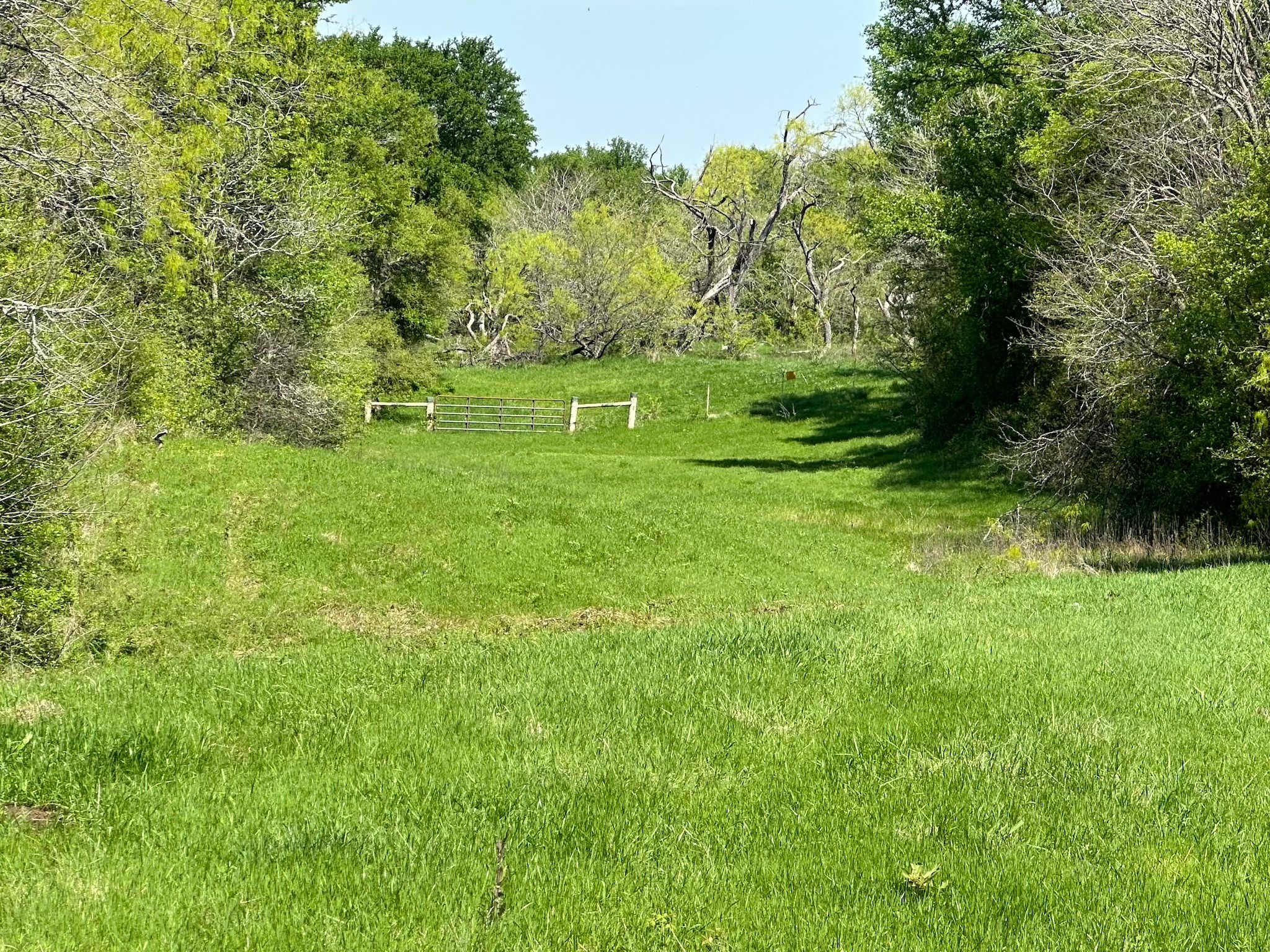 TBD 149.71 Acres SE CR 1240