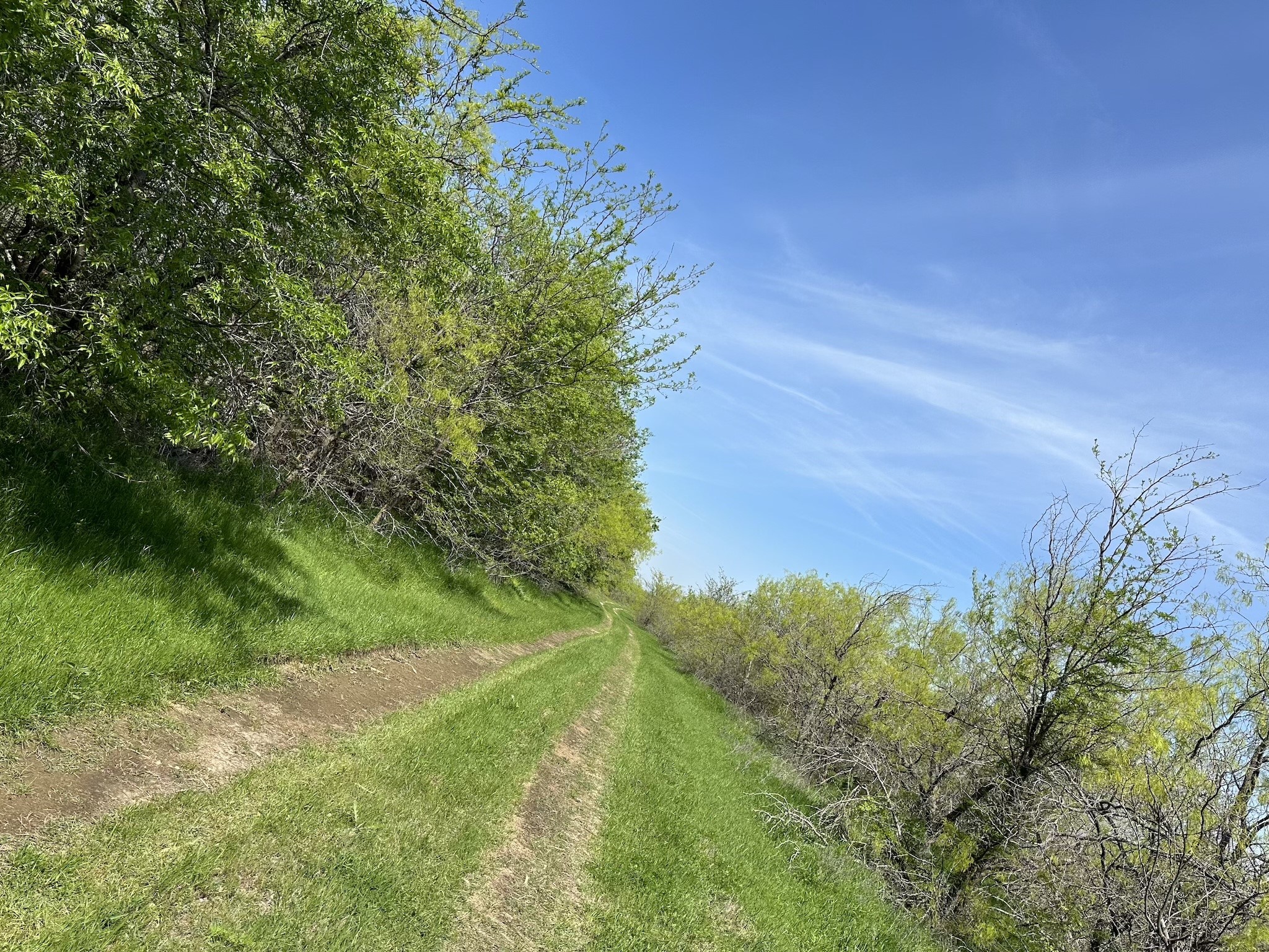 TBD 149.71 Acres SE CR 1240