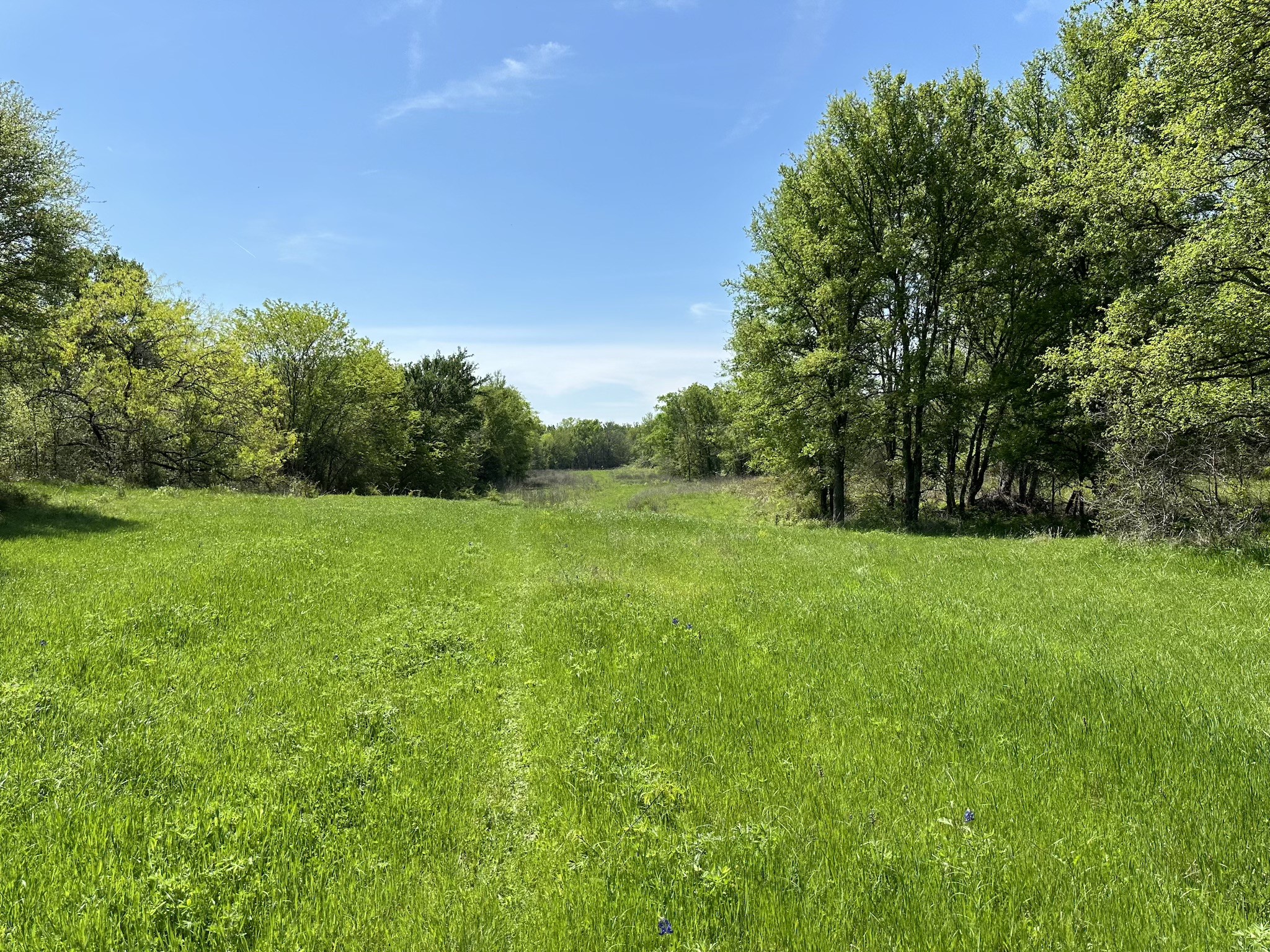 TBD 149.71 Acres SE CR 1240