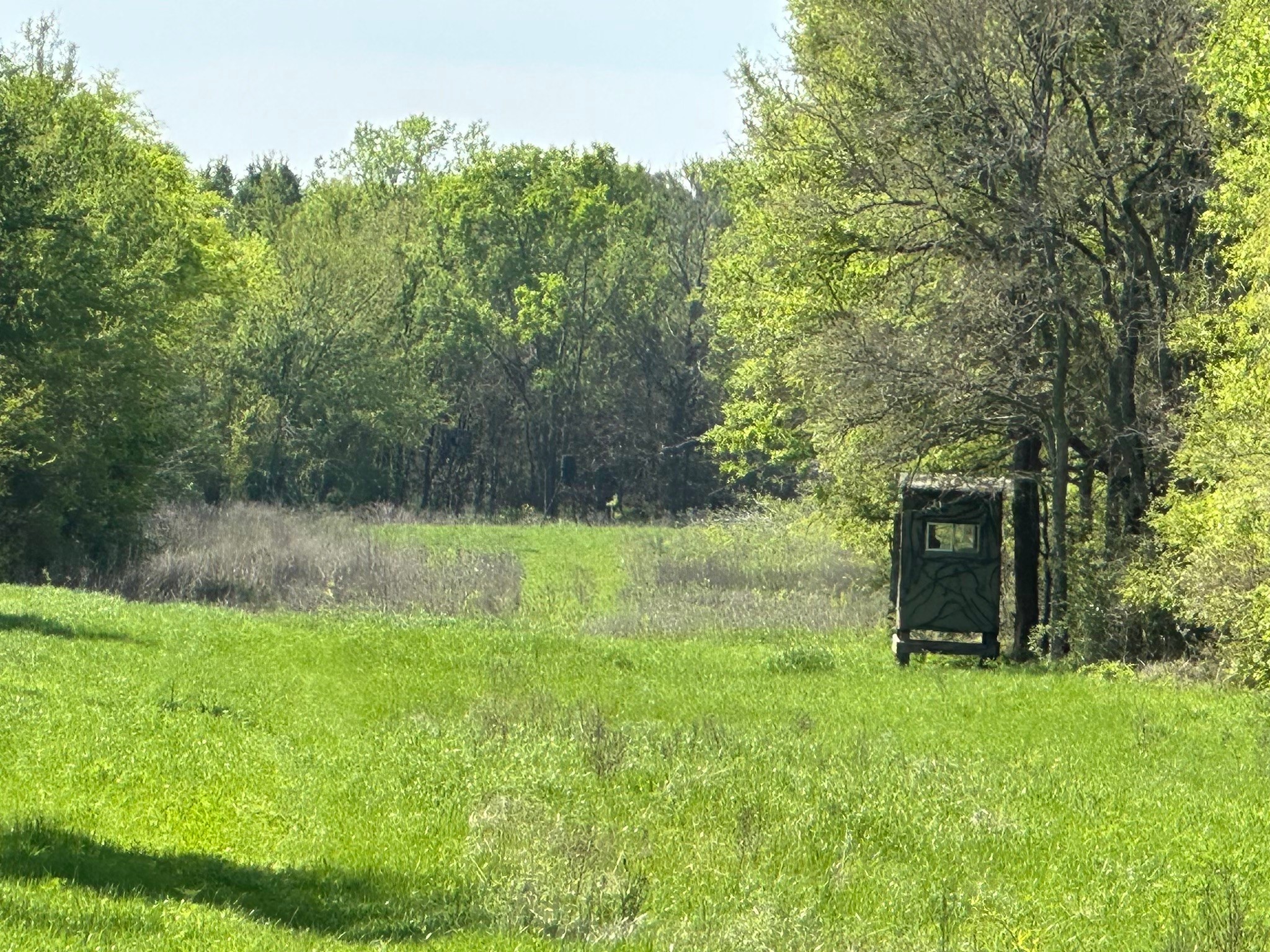 TBD 149.71 Acres SE CR 1240