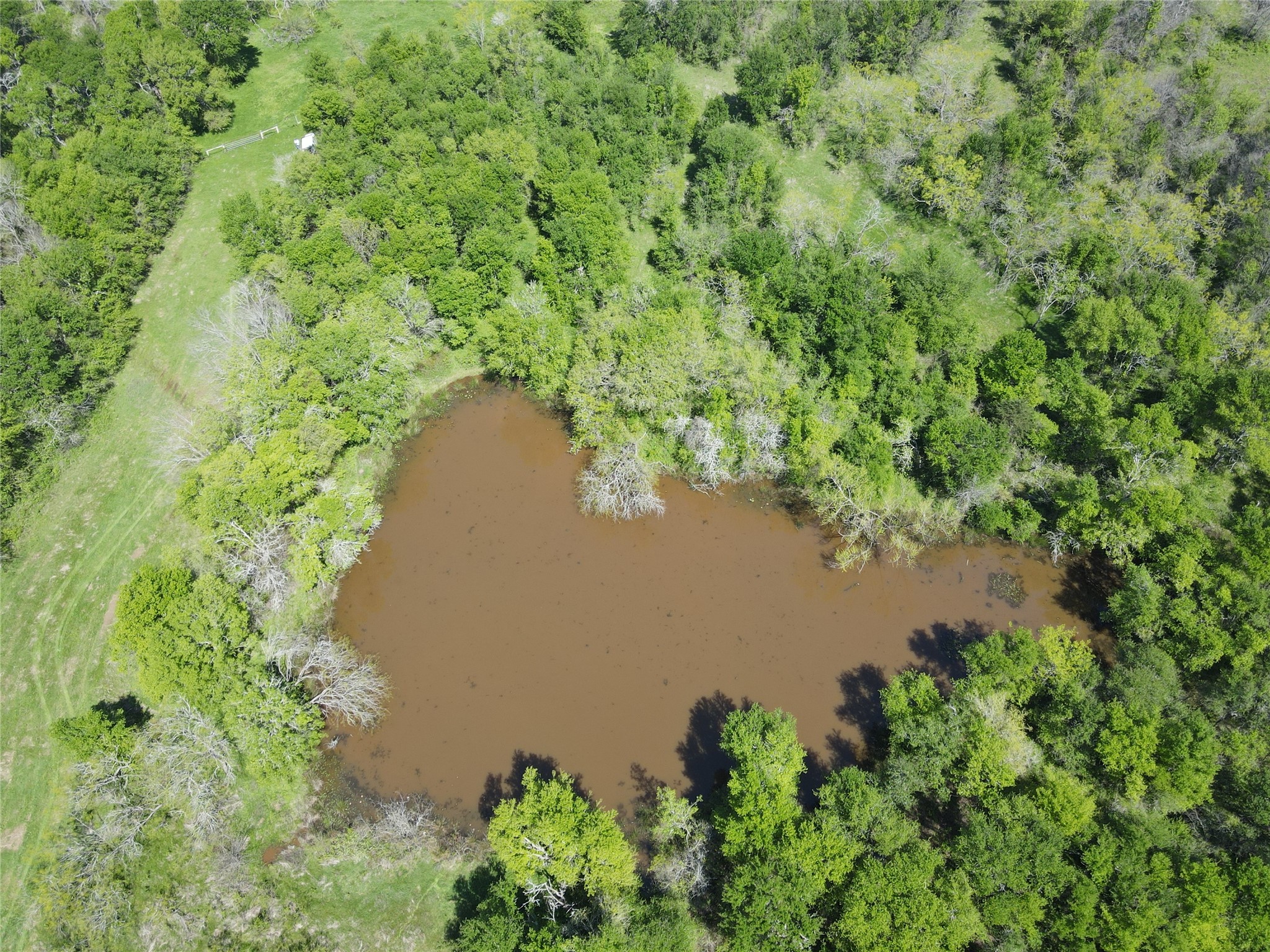 TBD 149.71 Acres SE CR 1240