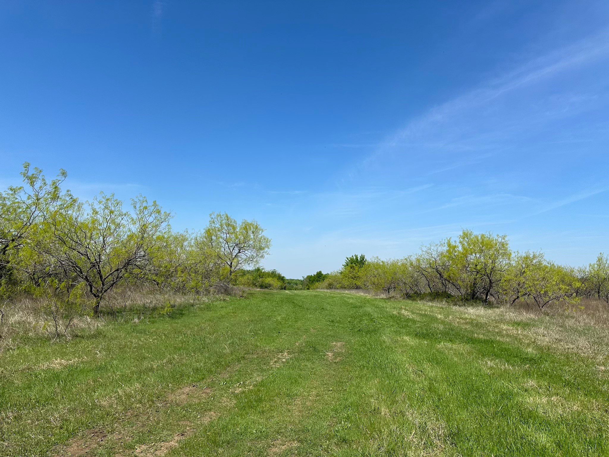 TBD 149.71 Acres SE CR 1240