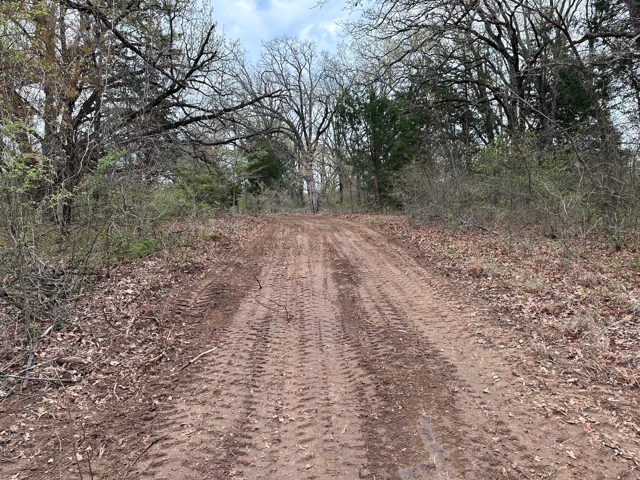 TBD 9.76 Acres SE CR 3248