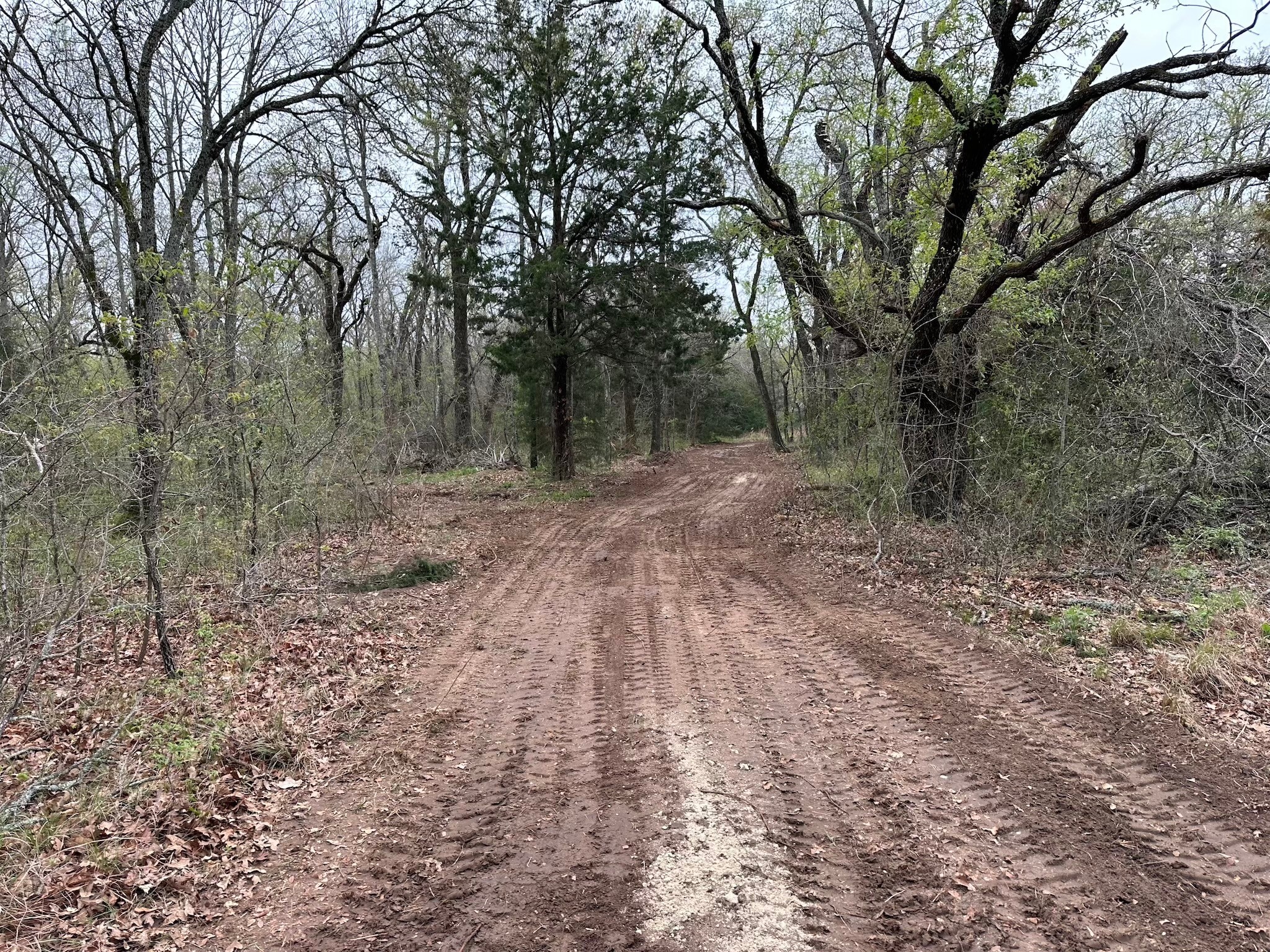 TBD 9.76 Acres SE CR 3248