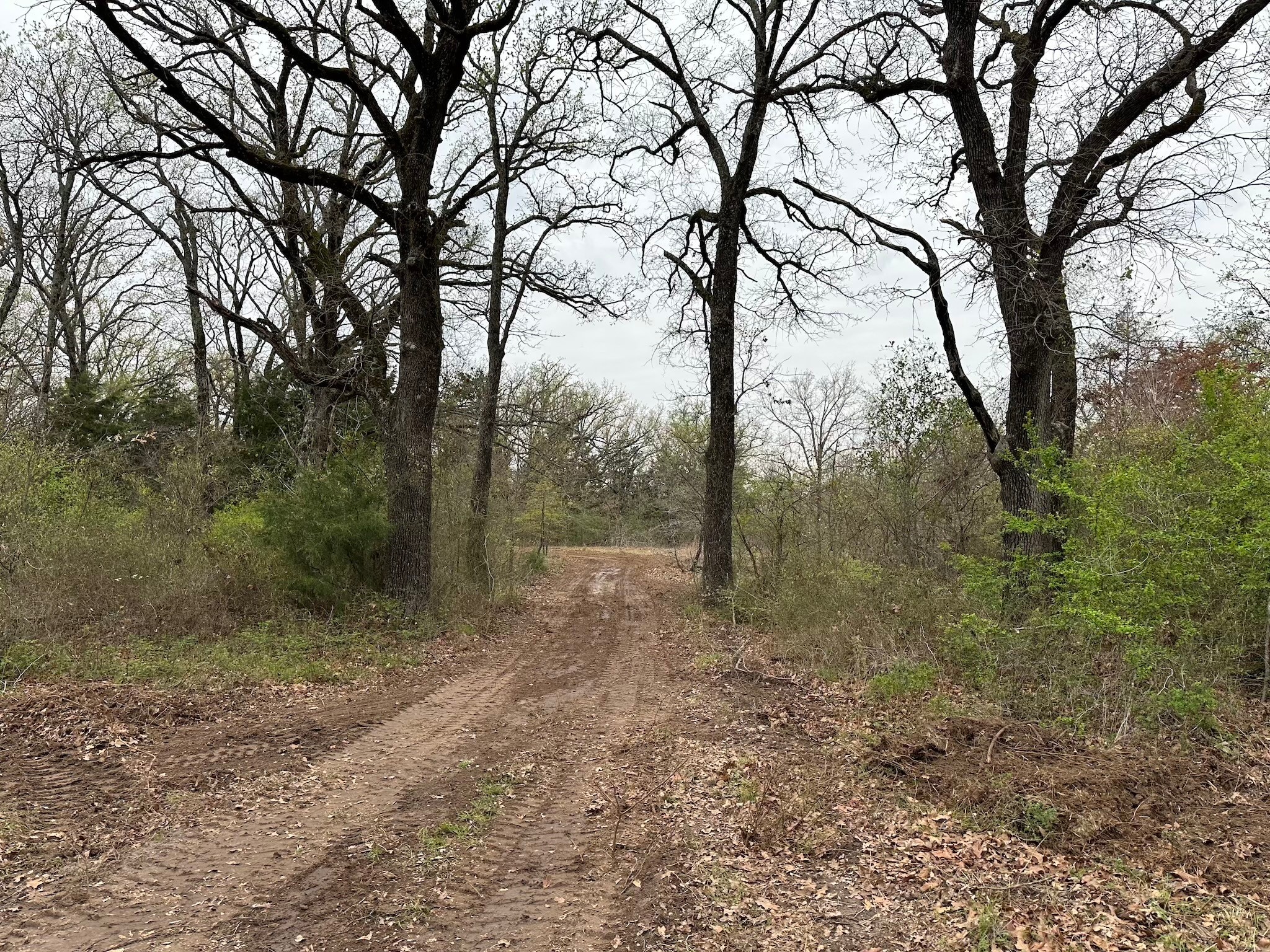 TBD 9.76 Acres SE CR 3248