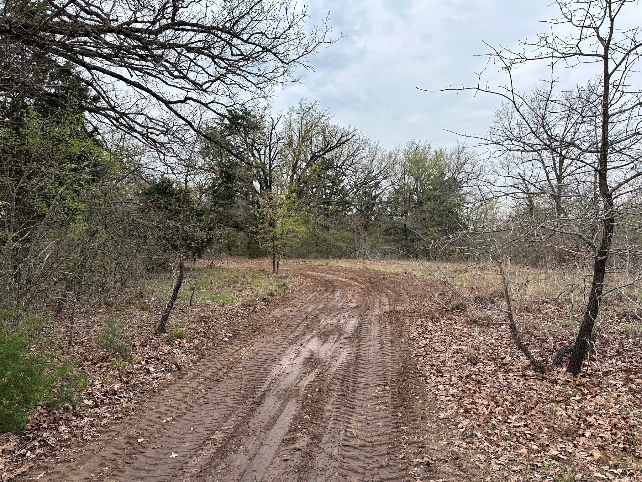 TBD 9.76 Acres SE CR 3248