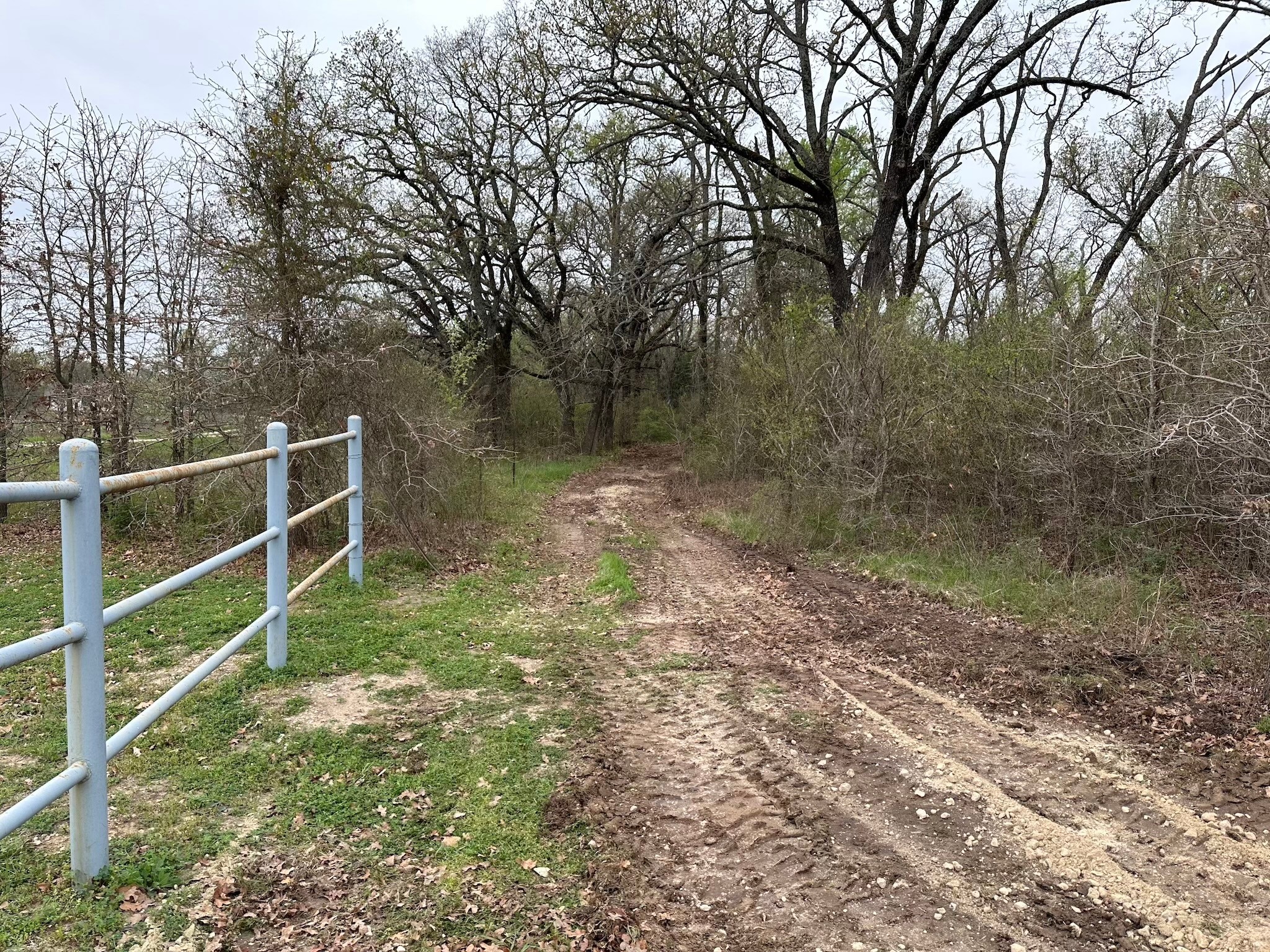 TBD 9.76 Acres SE CR 3248