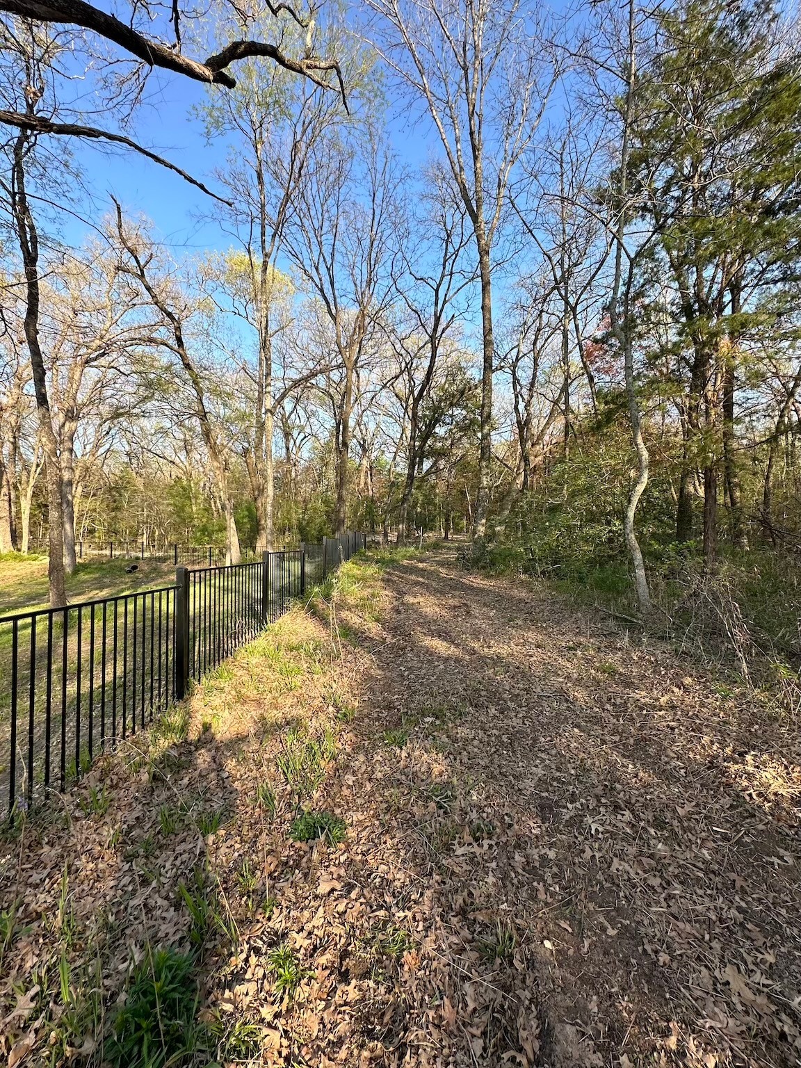 TBD 9.76 Acres SE CR 3248