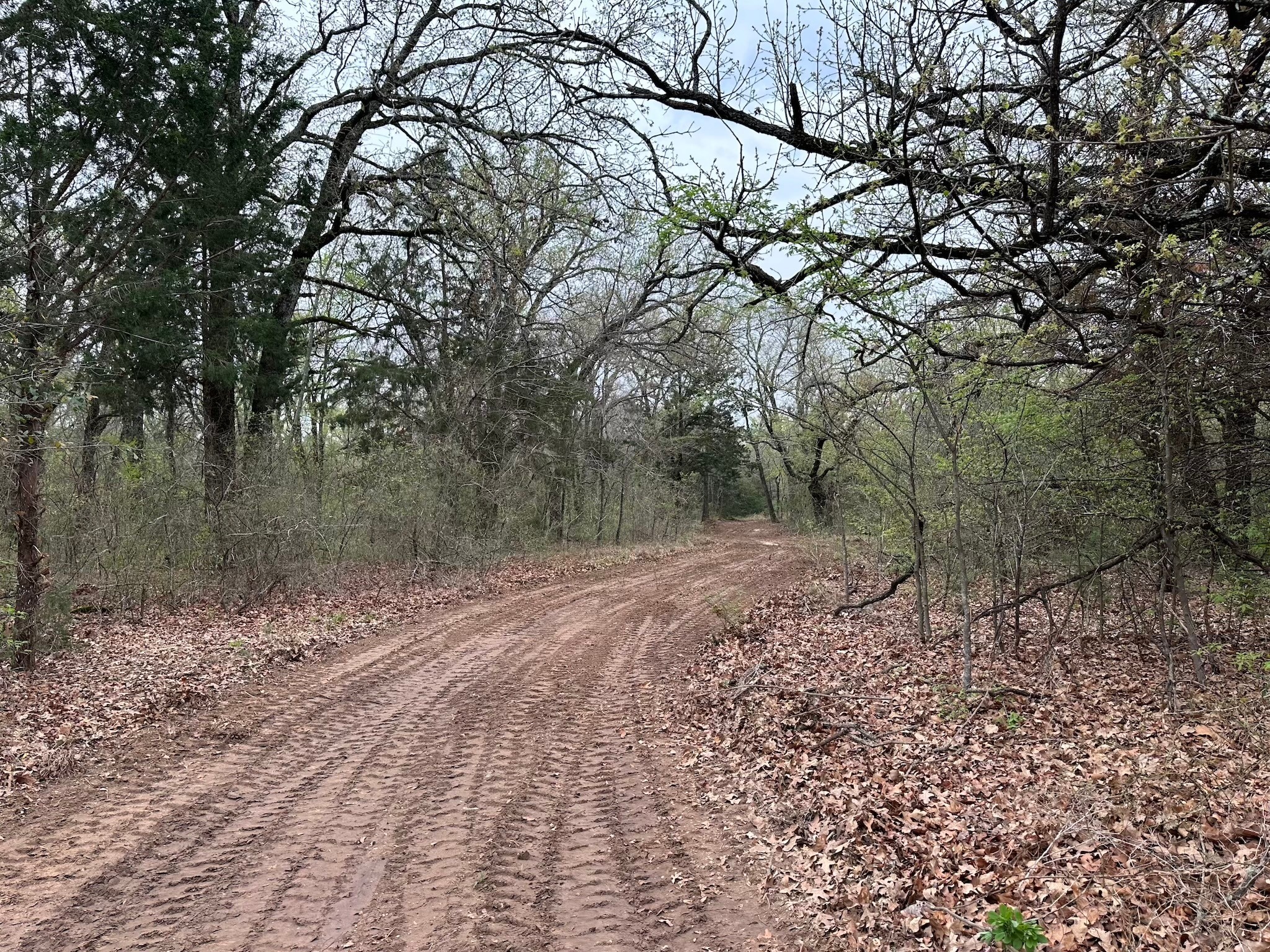 TBD 9.76 Acres SE CR 3248