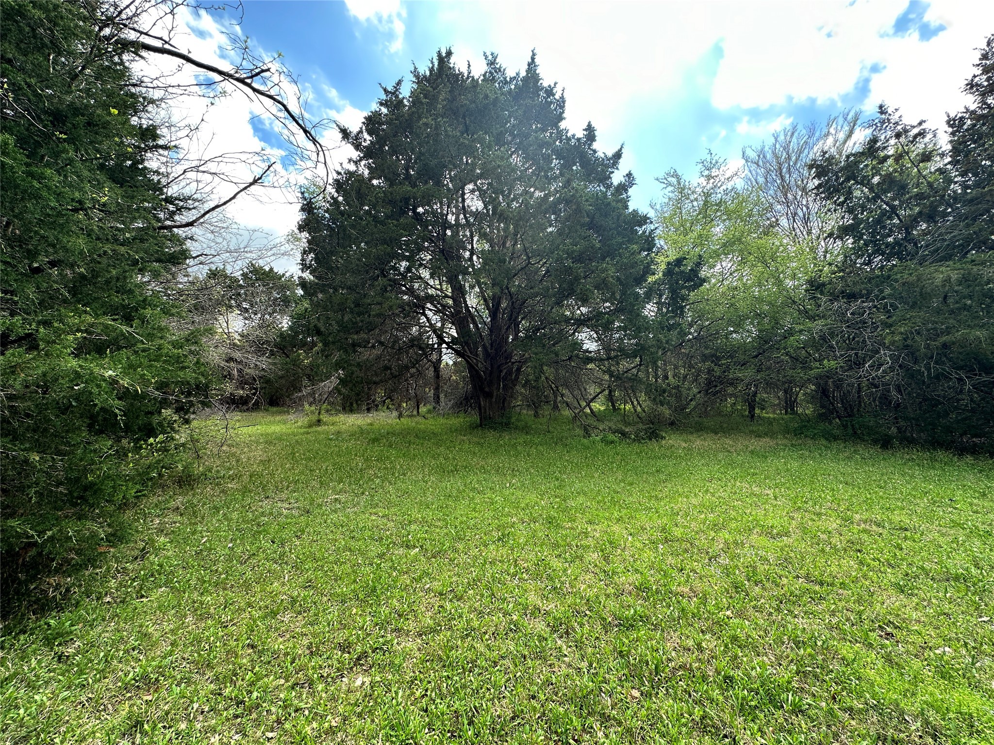 Lot 184 Cobalt Cove