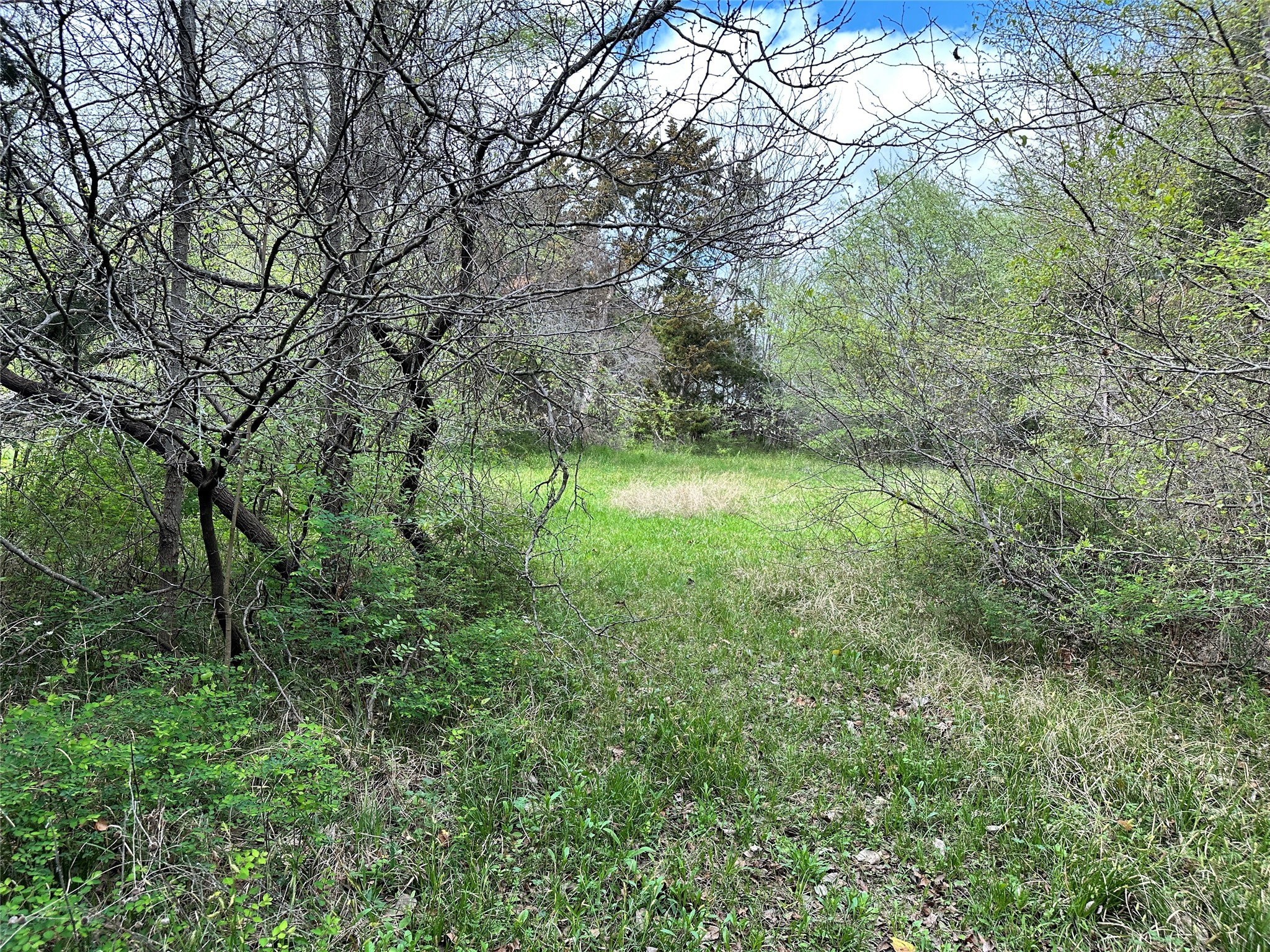 Lot 184 Cobalt Cove