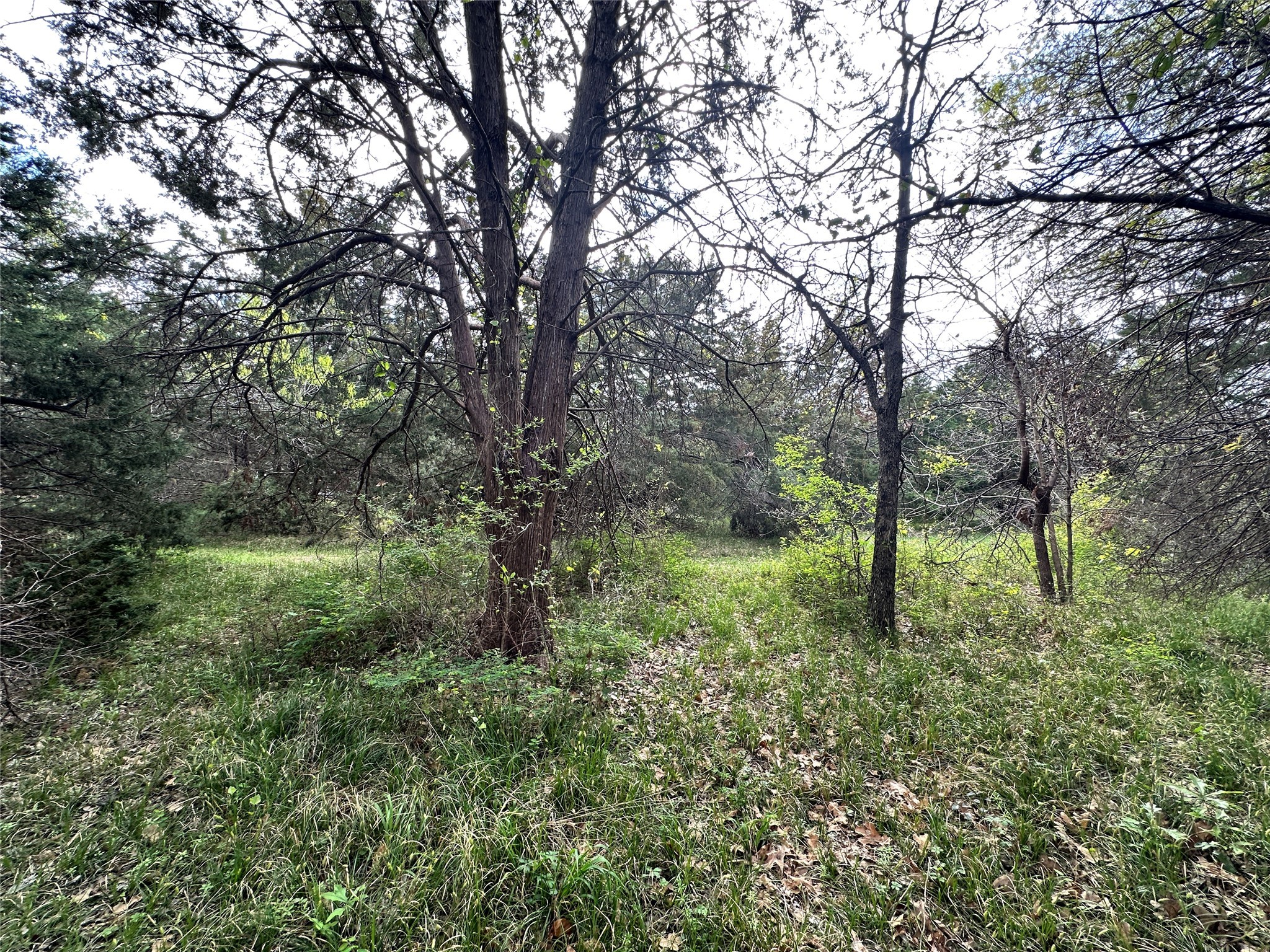 Lot 184 Cobalt Cove