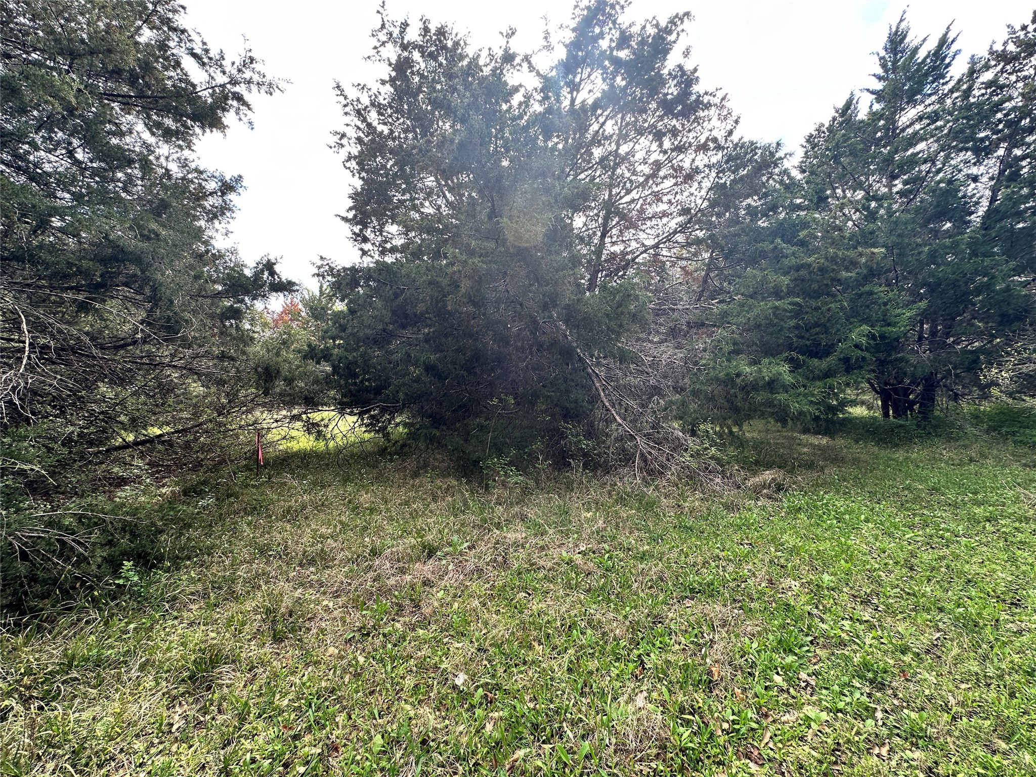 Lot 184 Cobalt Cove