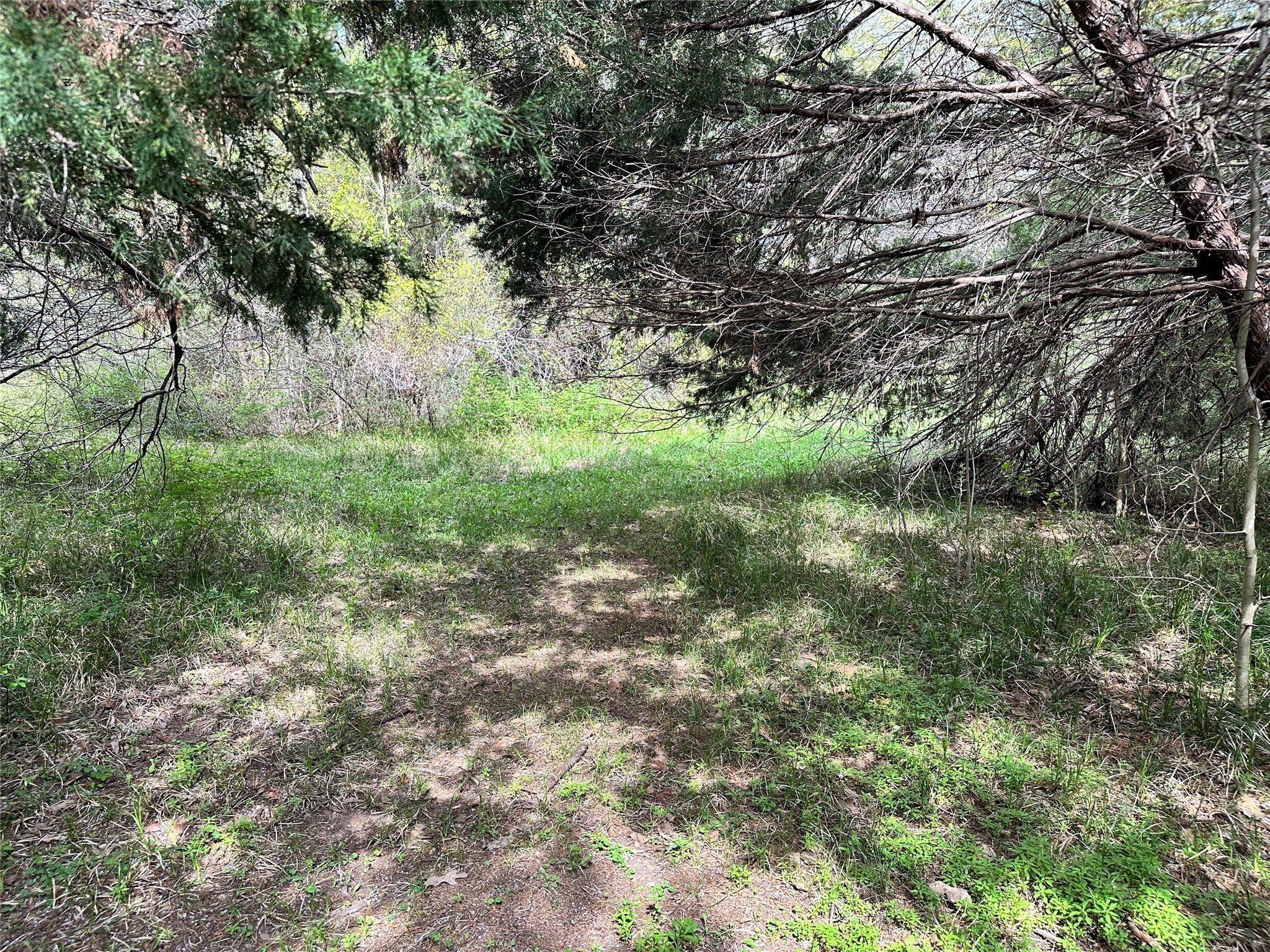 Lot 184 Cobalt Cove