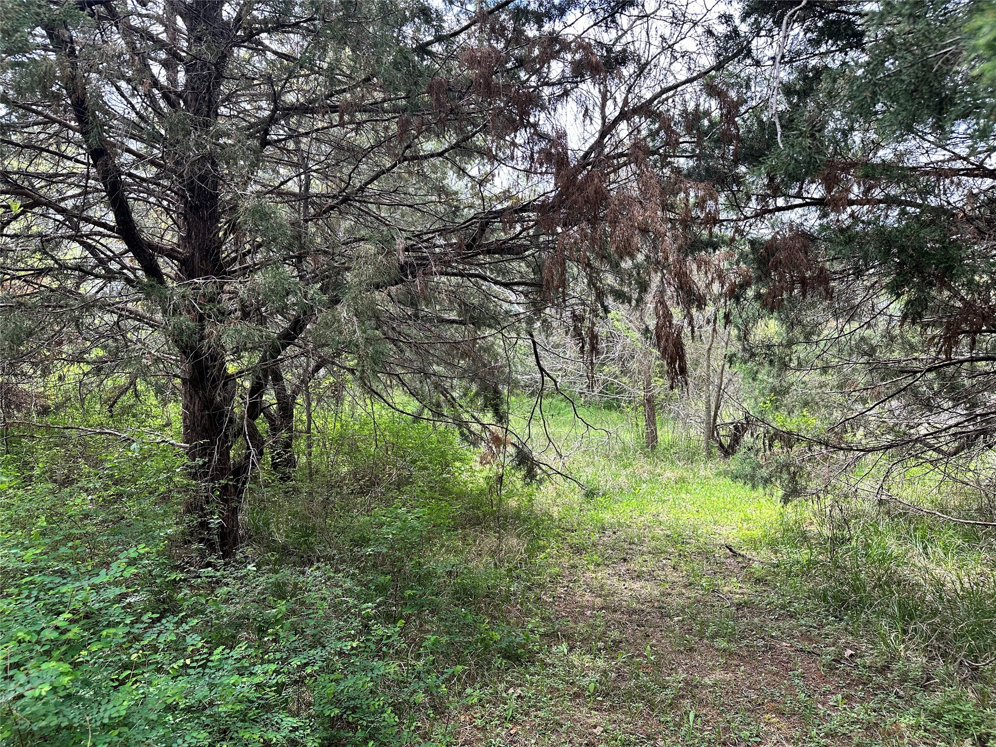 Lot 184 Cobalt Cove