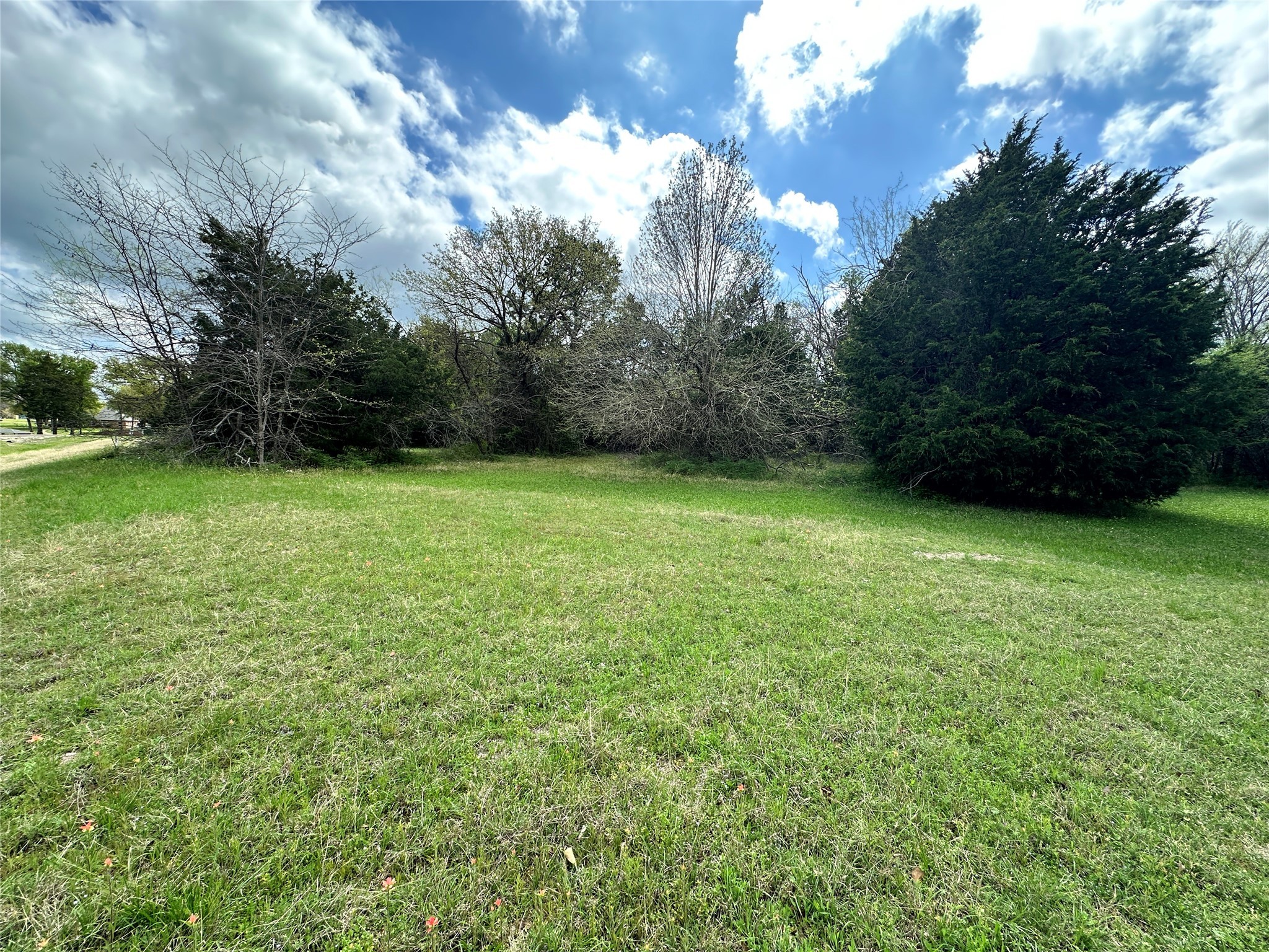 Lot 184 Cobalt Cove