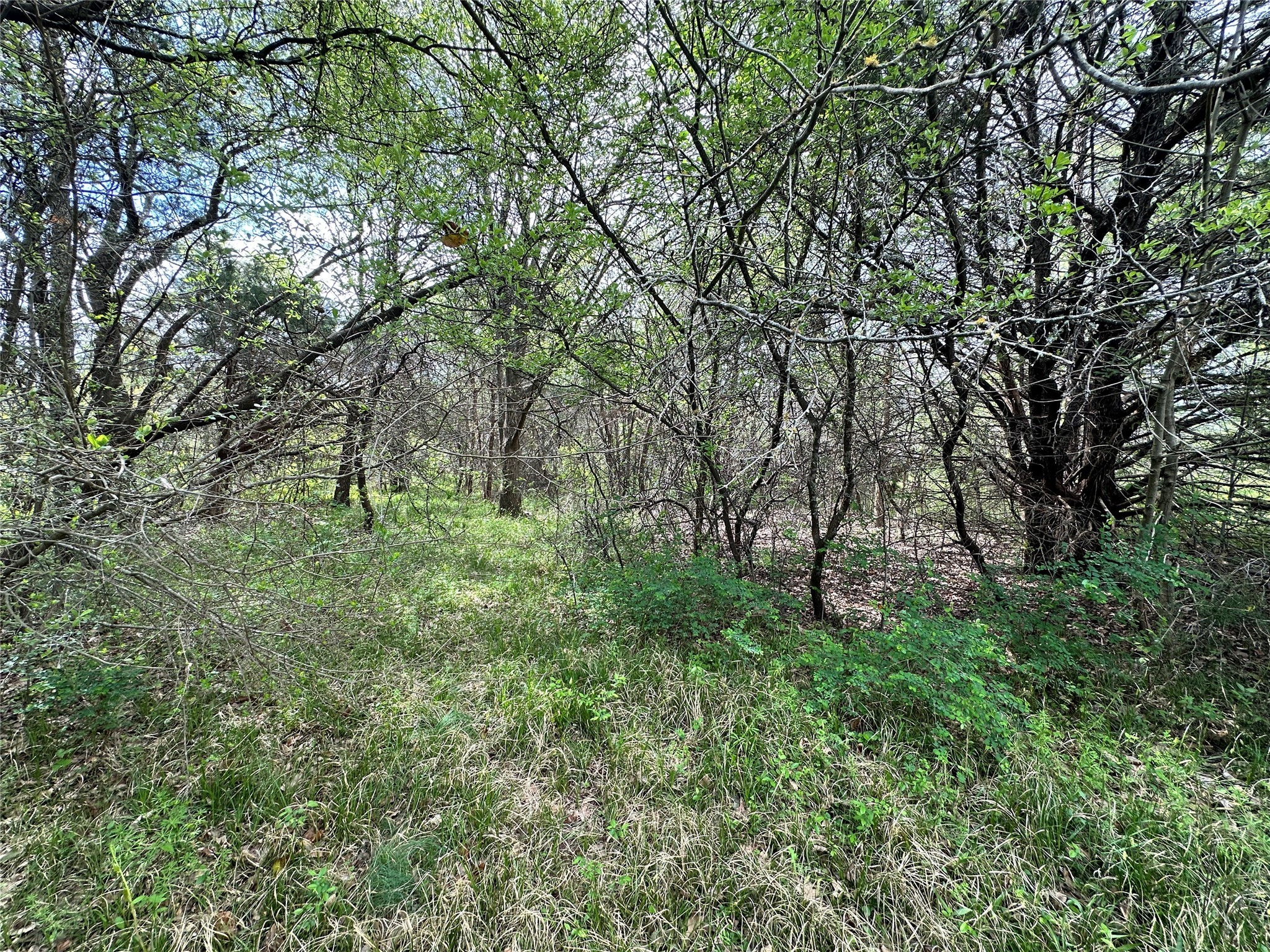 Lot 184 Cobalt Cove