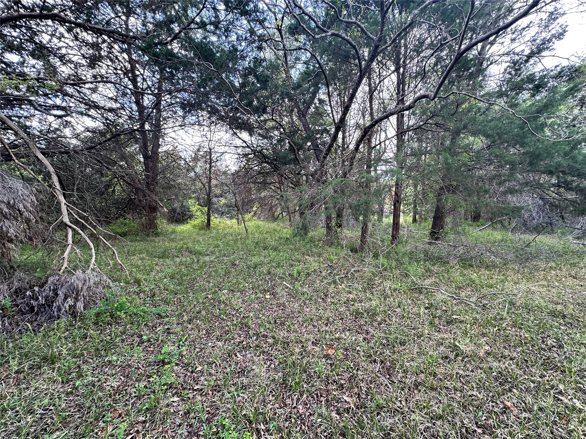 Lot 184 Cobalt Cove