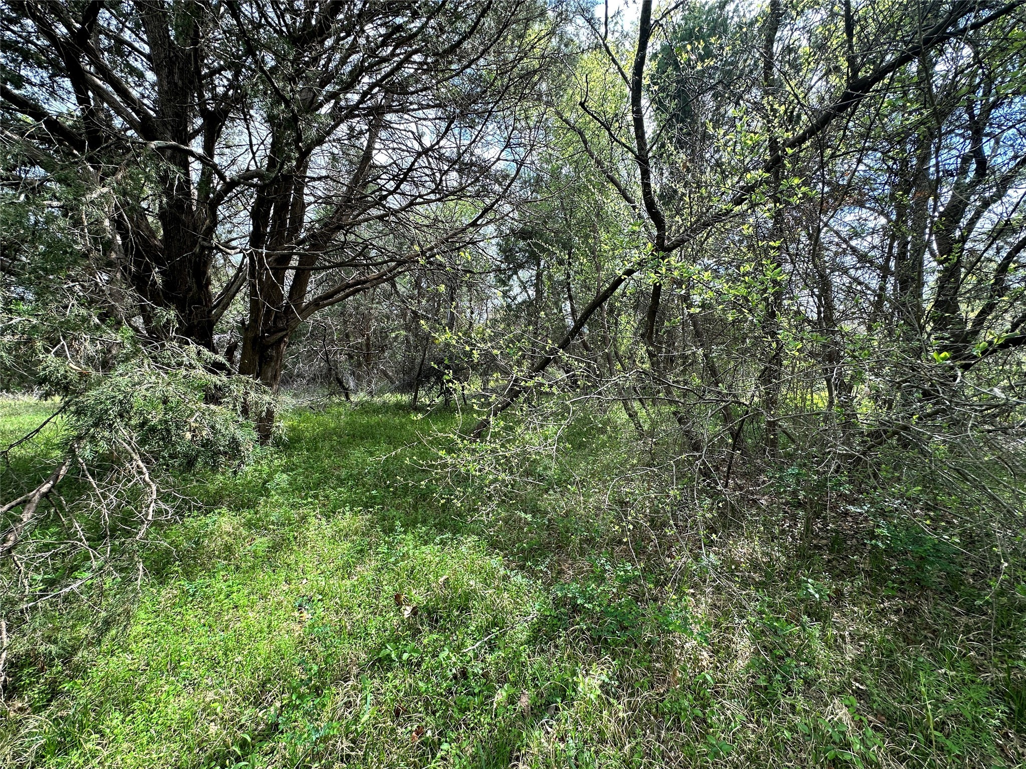 Lot 184 Cobalt Cove
