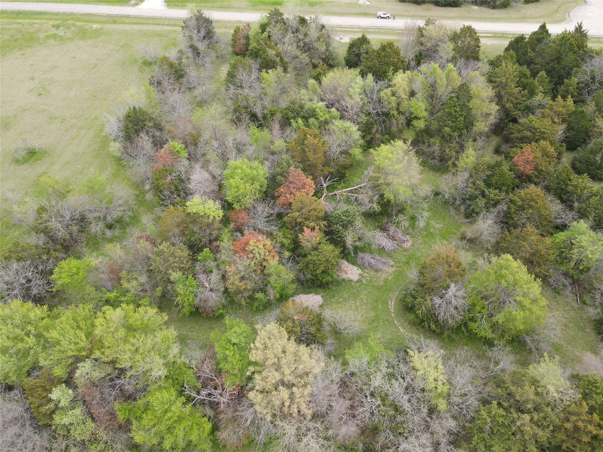 Lot 184 Cobalt Cove