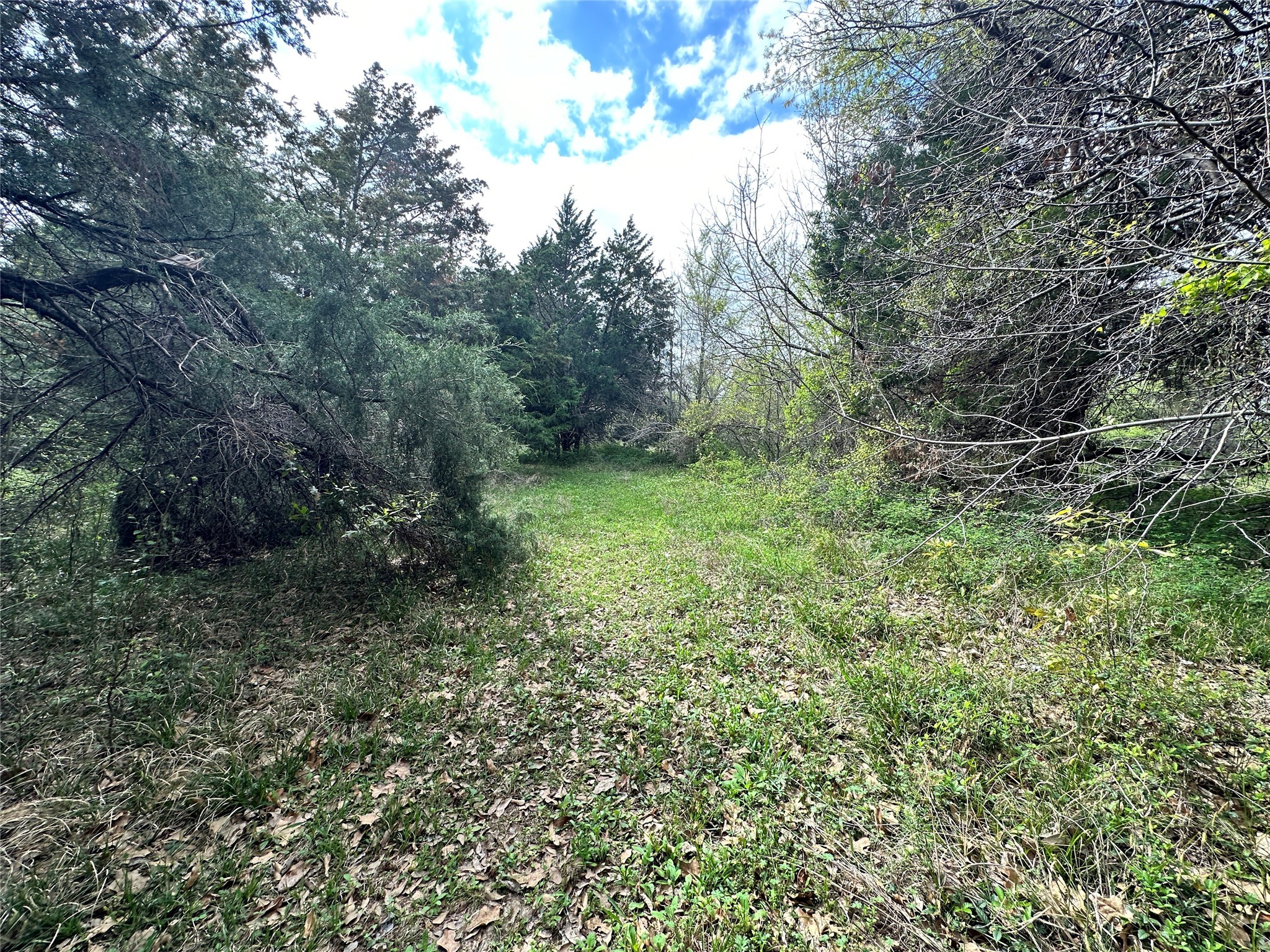 Lot 184 Cobalt Cove