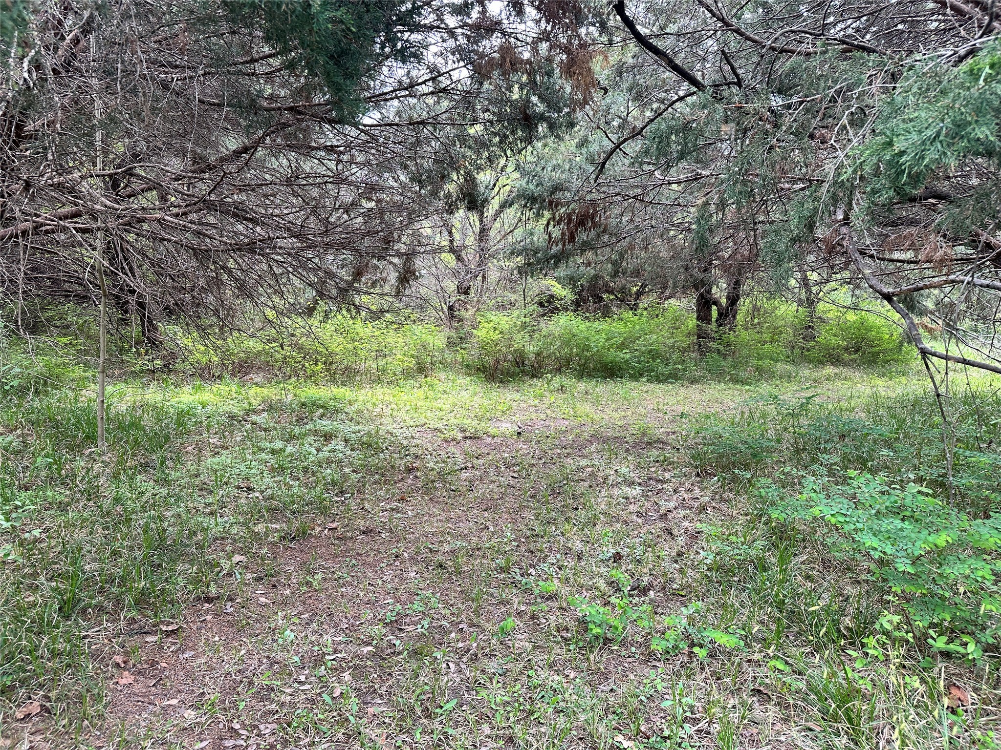 Lot 184 Cobalt Cove