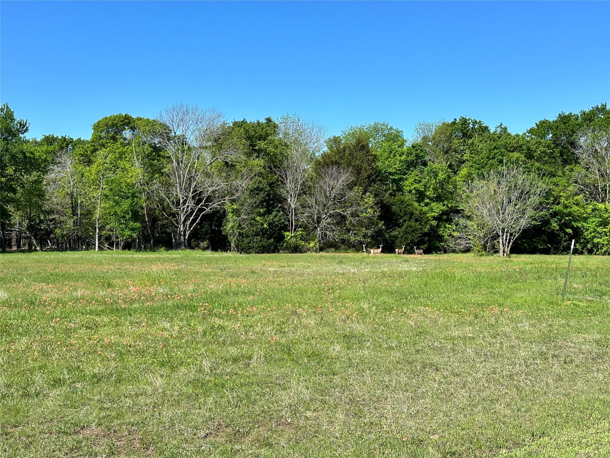 Lot 371 Polaris Drive