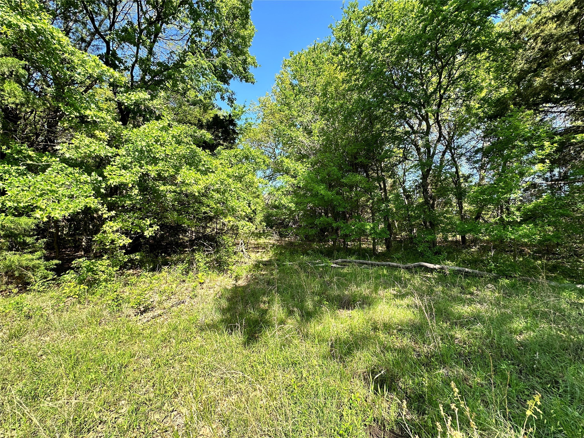 Lot 371 Polaris Drive