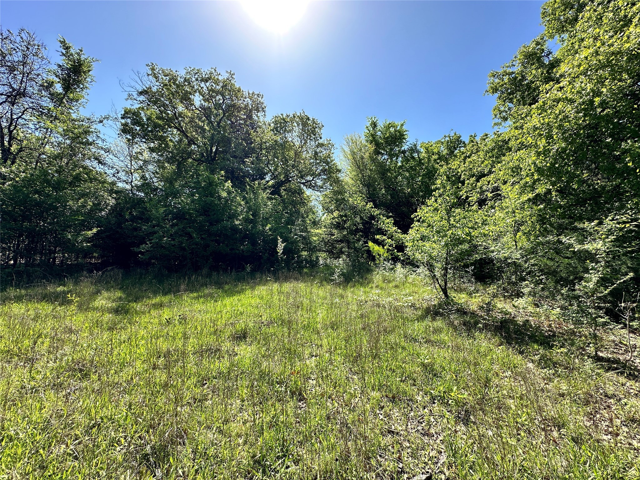 Lot 371 Polaris Drive