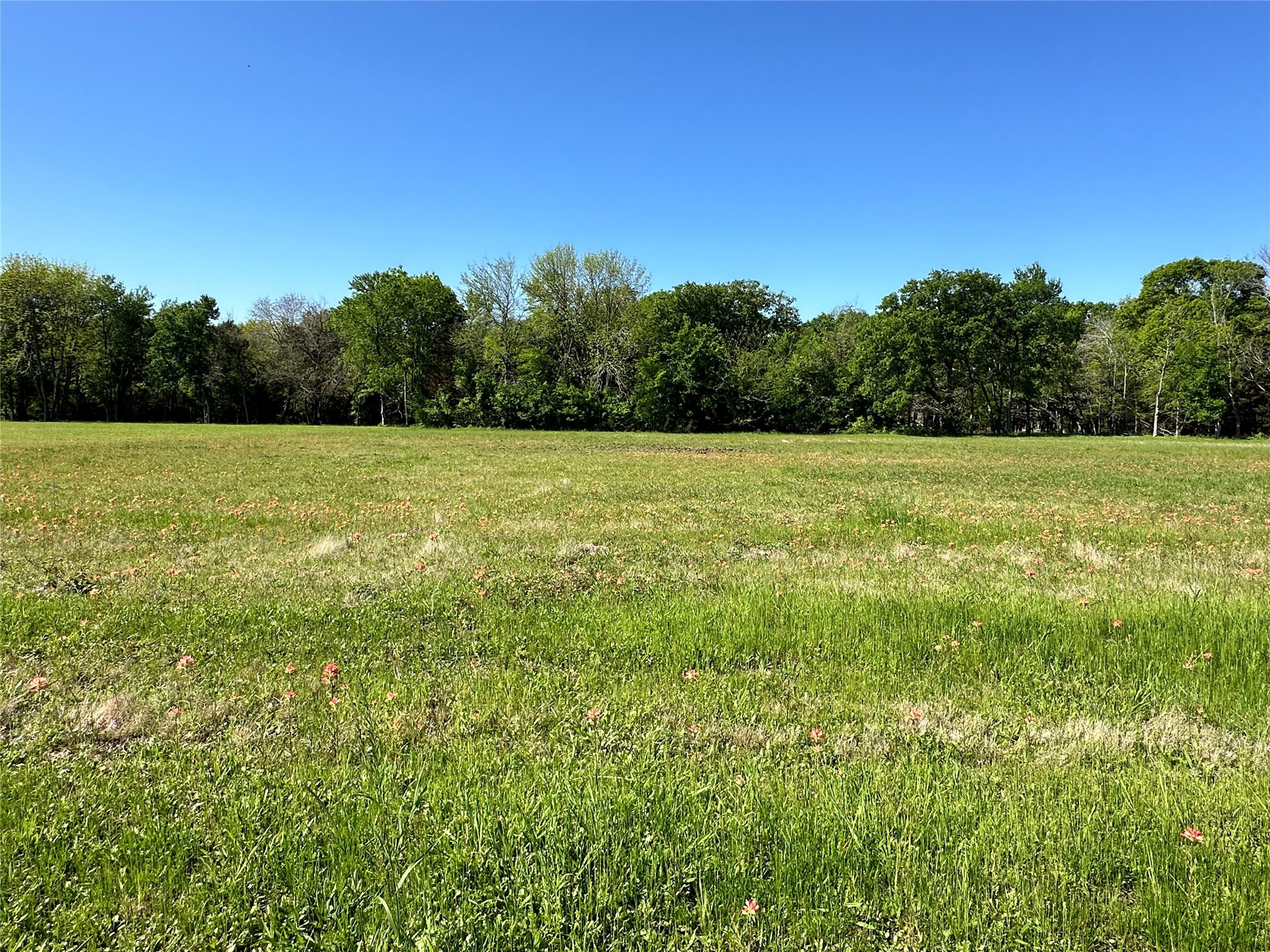 Lot 371 Polaris Drive