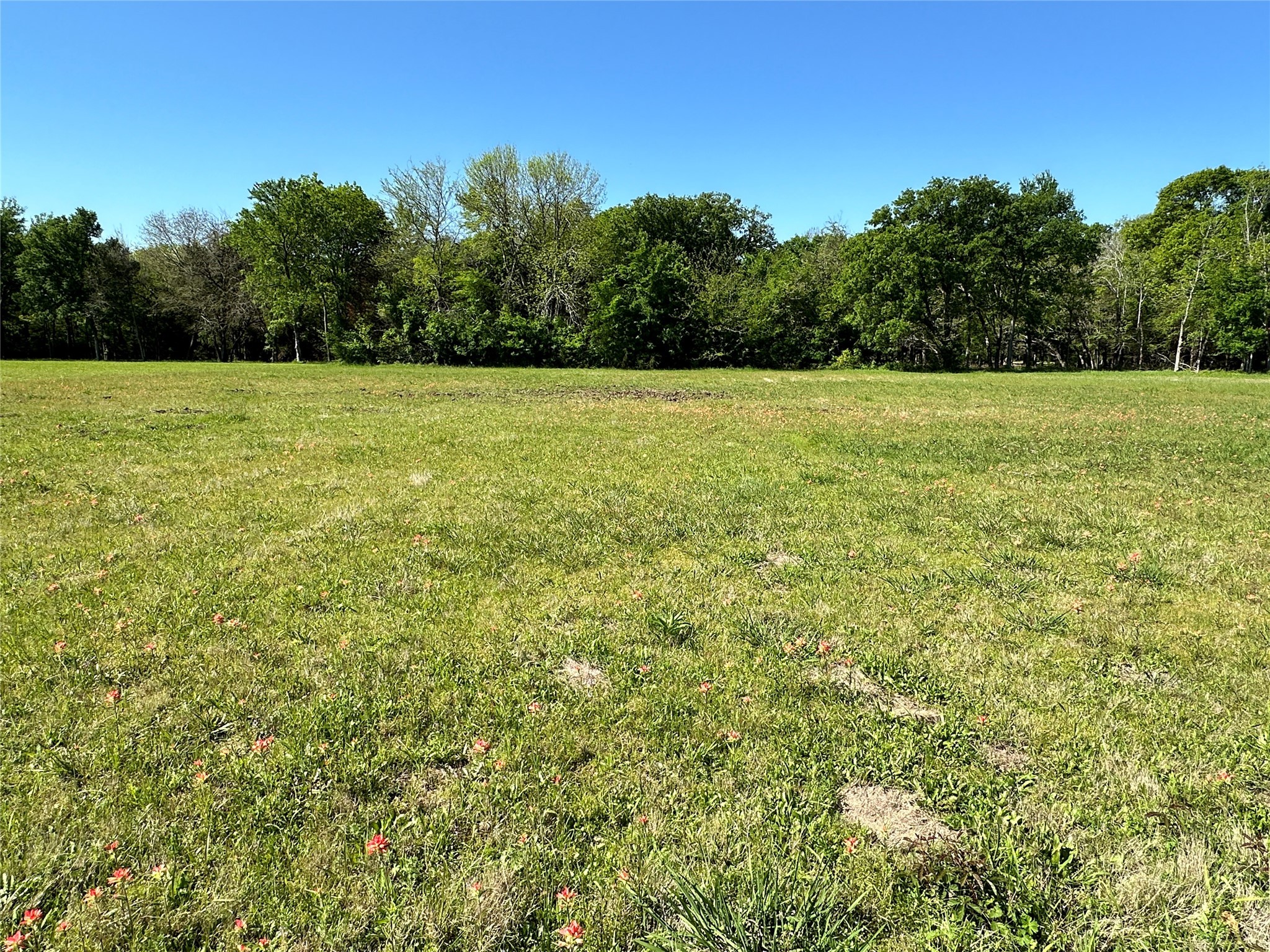 Lot 371 Polaris Drive